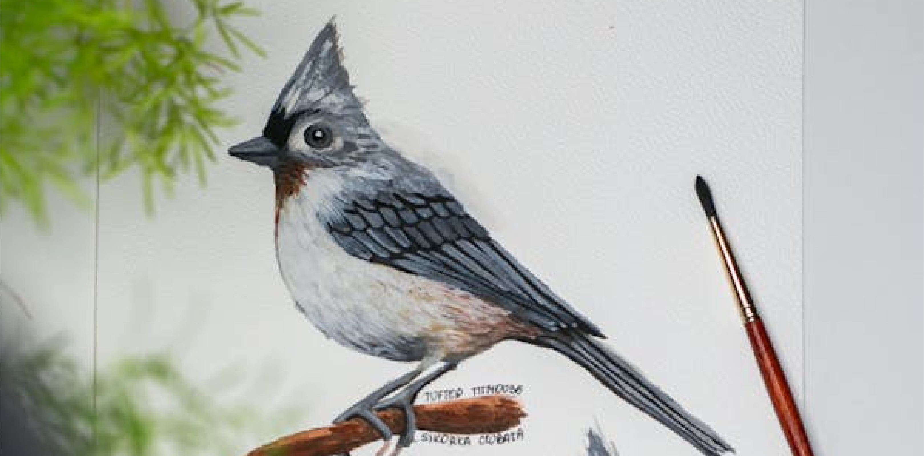 The Conference of Birds - Gerard O'Brien Artworks