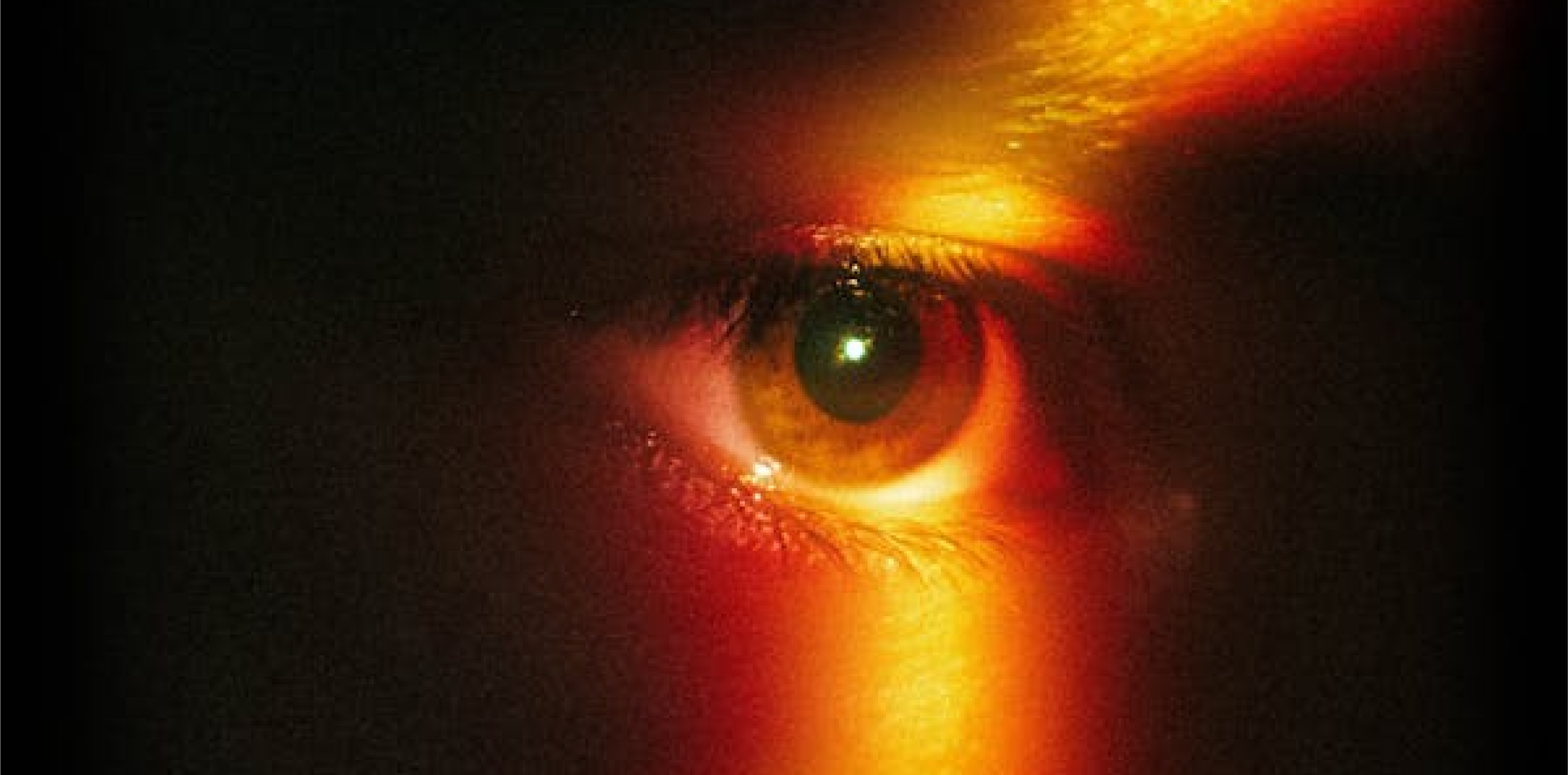 CYCLOPS | James Joyce