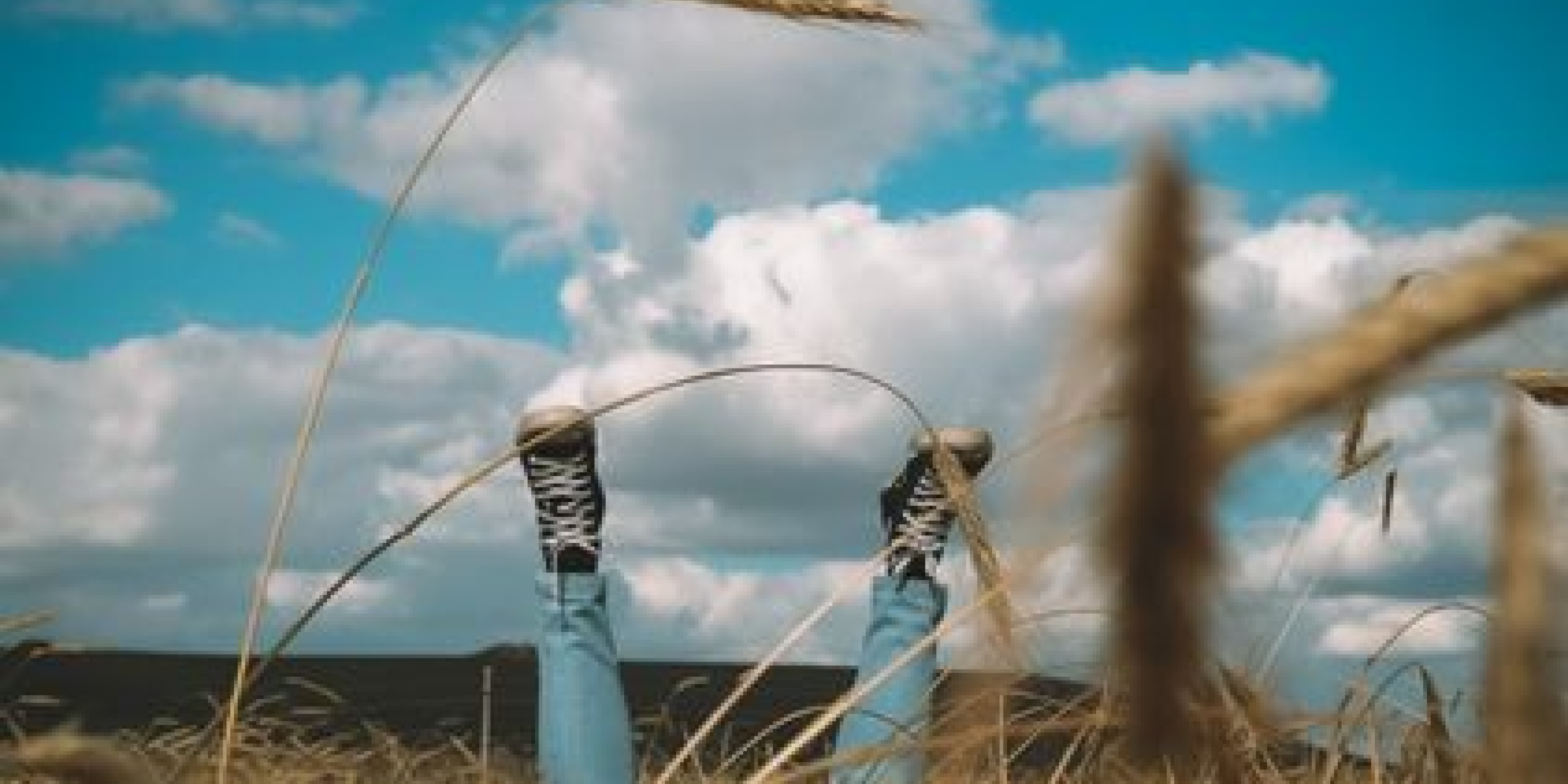 Taking Tangents | David Nihill