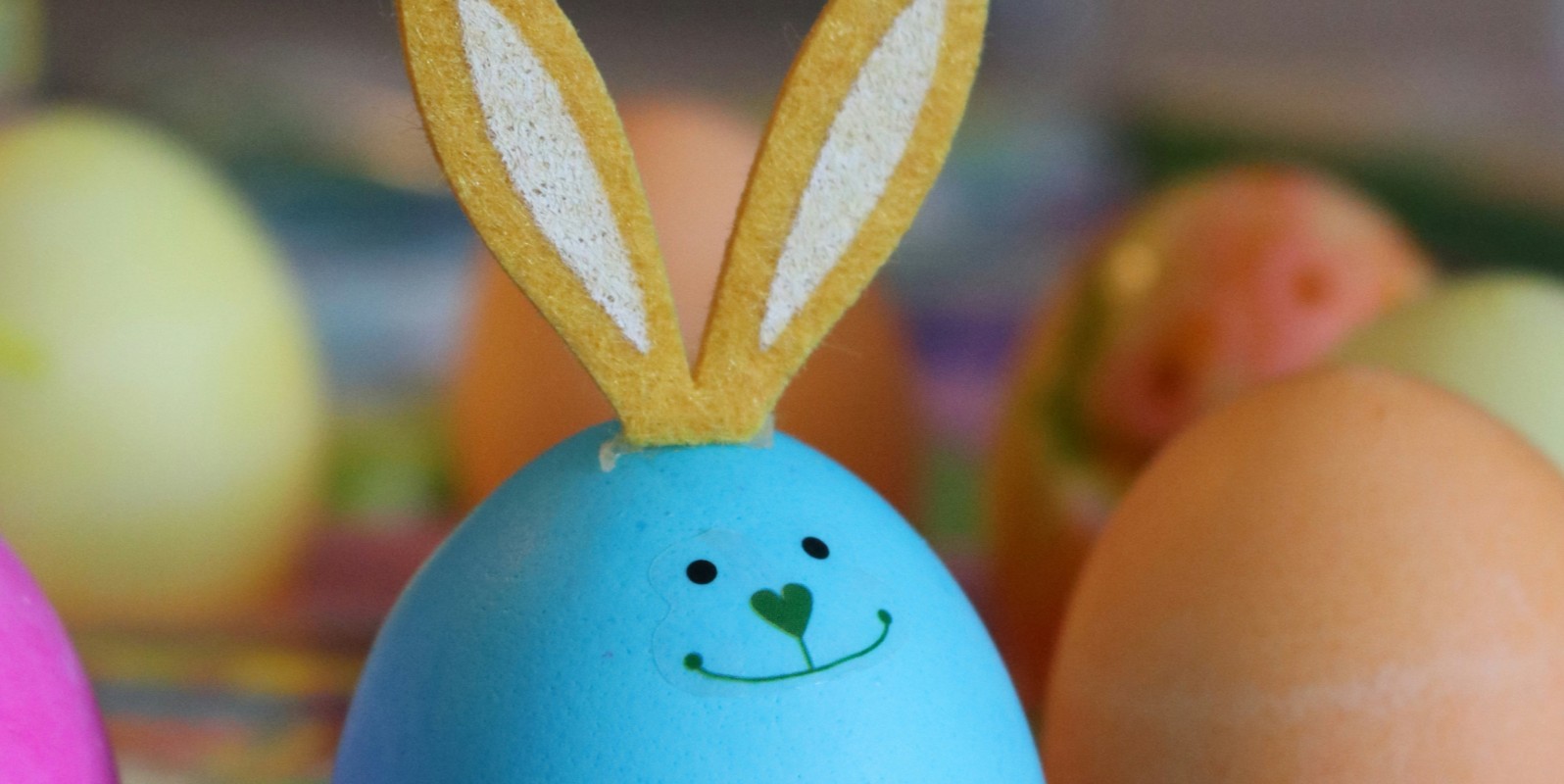 Easter Kids Camp at NSPCA Dublin