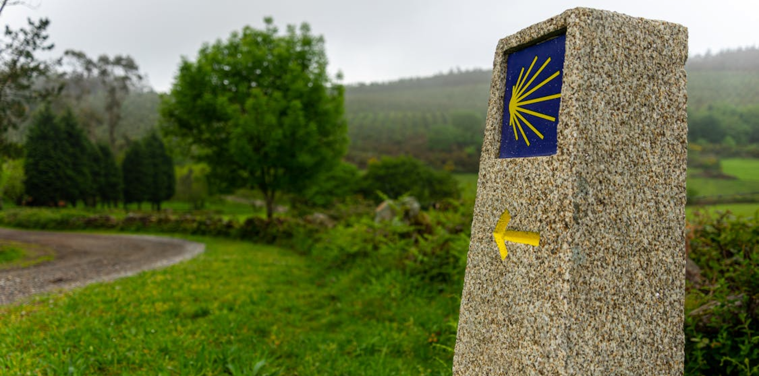 Follow the Camino Talks