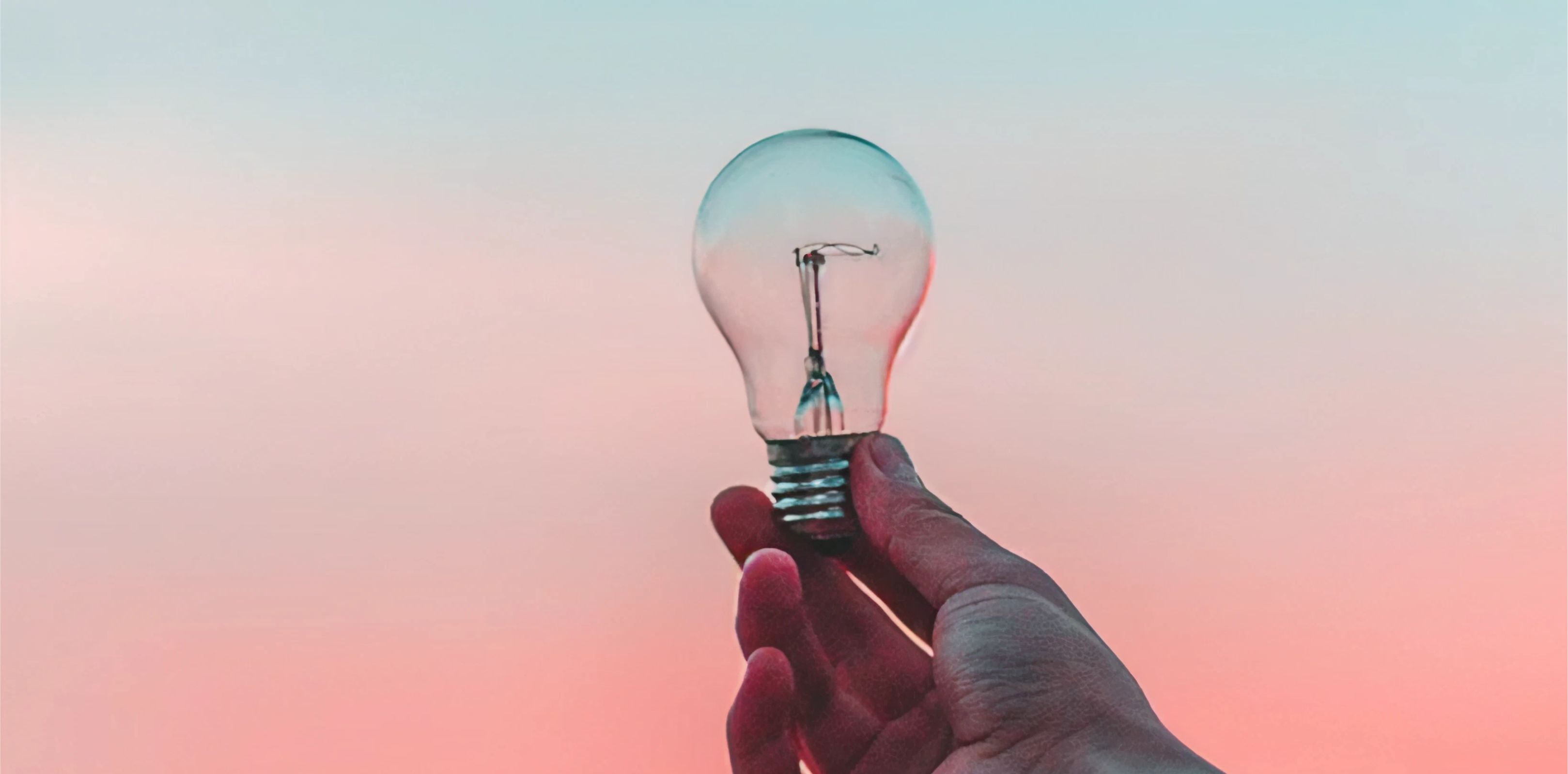 Business Summer School | 2026