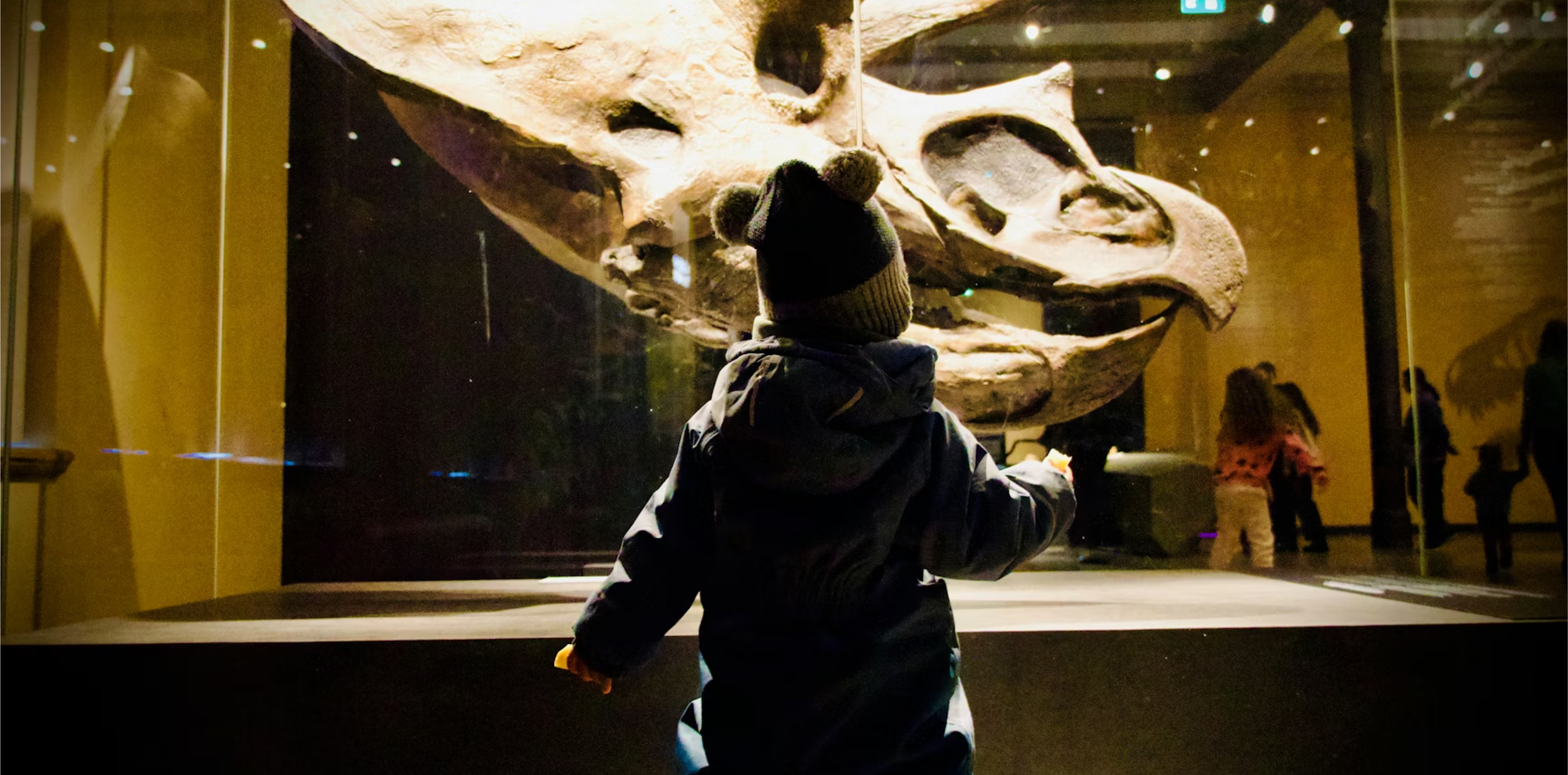Dinosaur Discovery – Family Experience