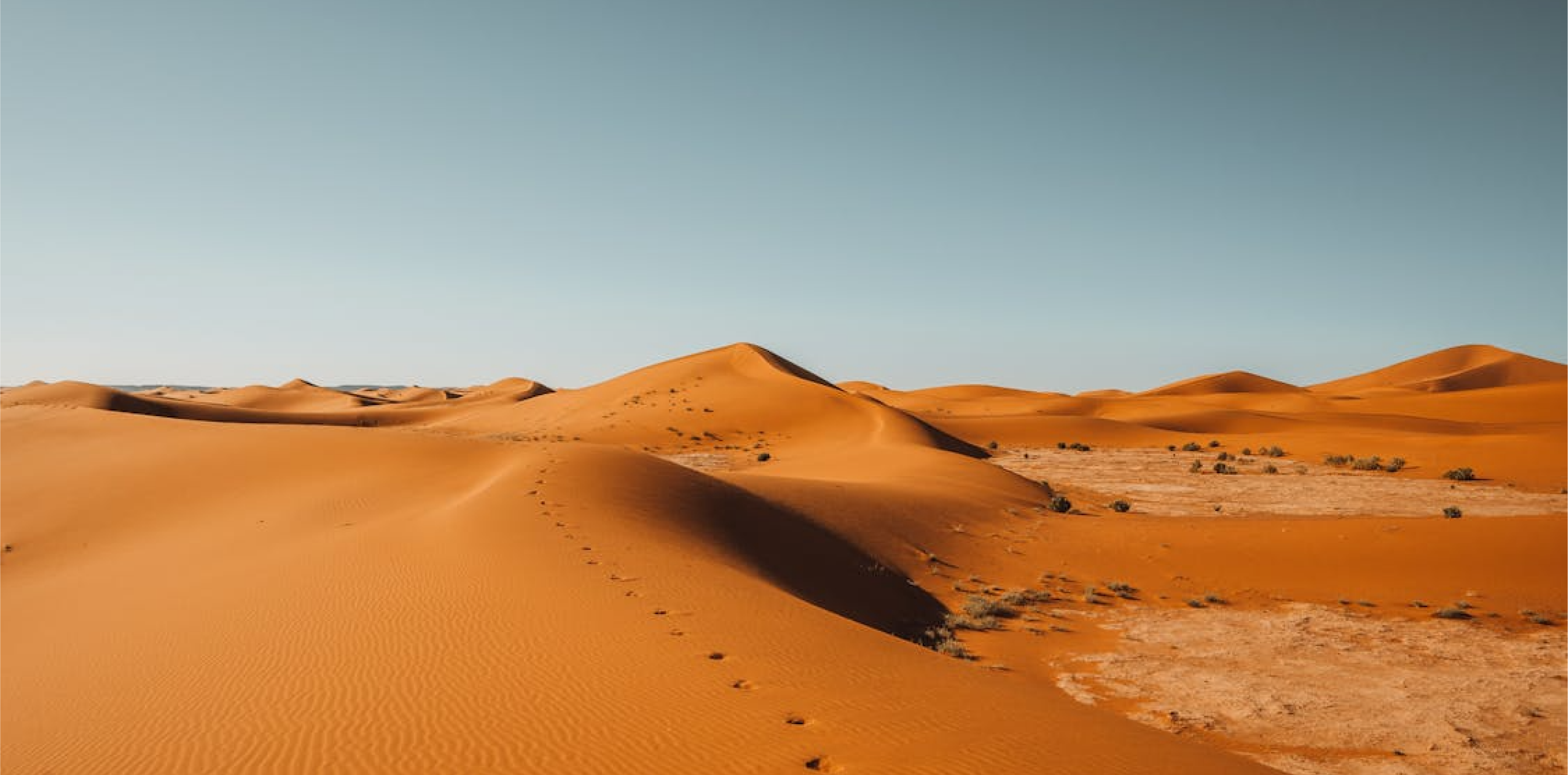 Tinariwen
