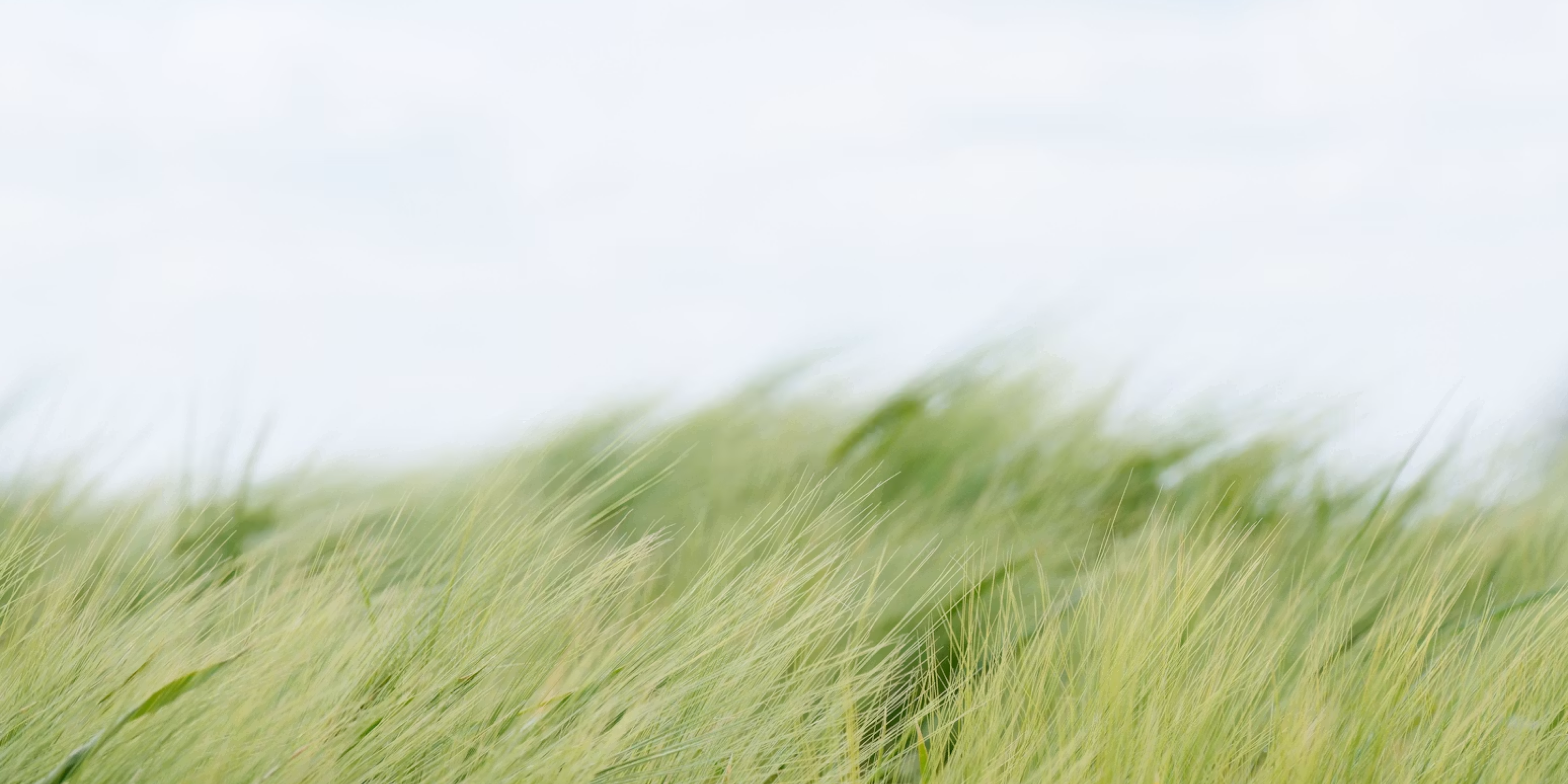 The Brightening Air | Conor McPherson