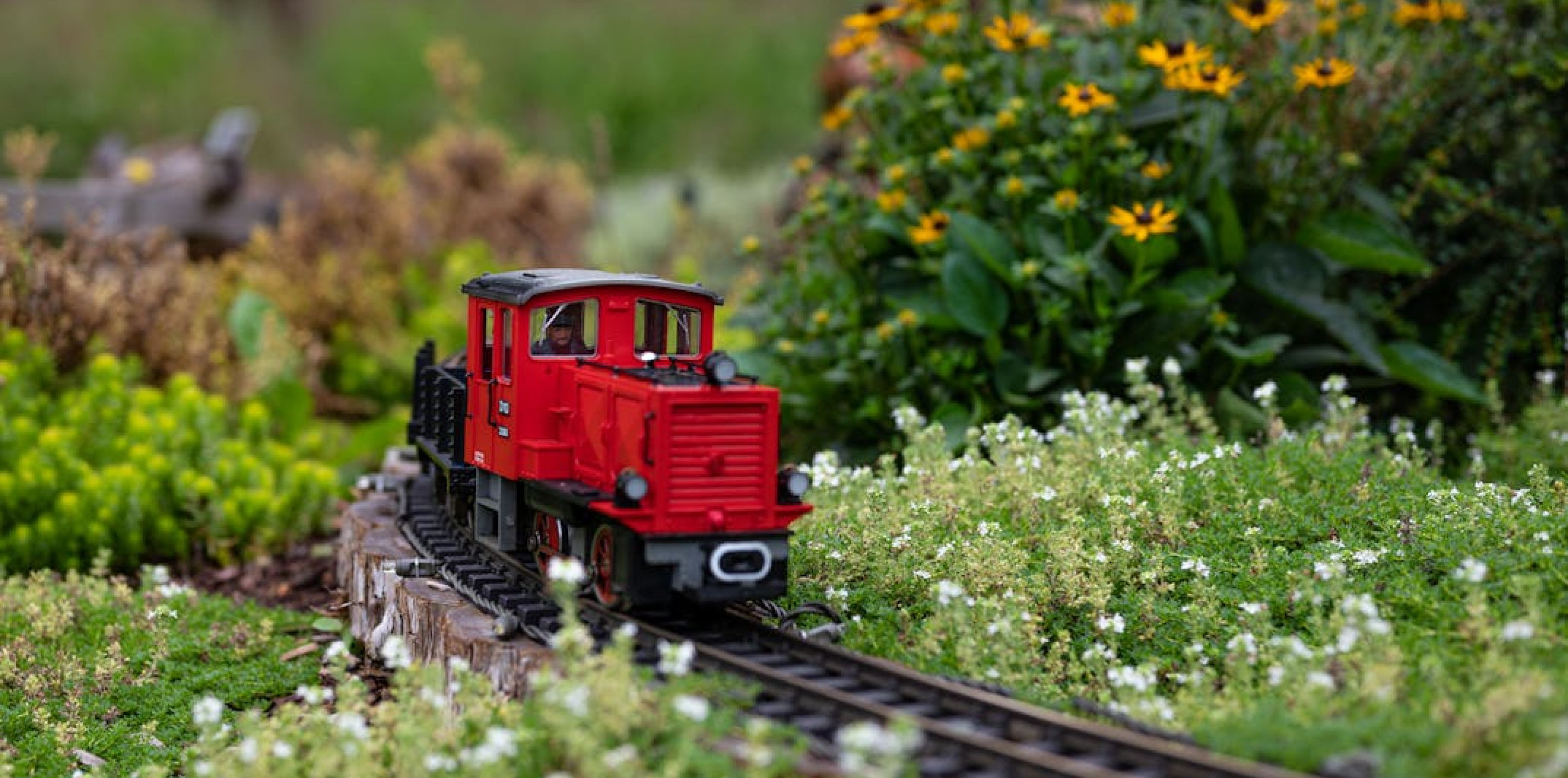 Dreamtrain