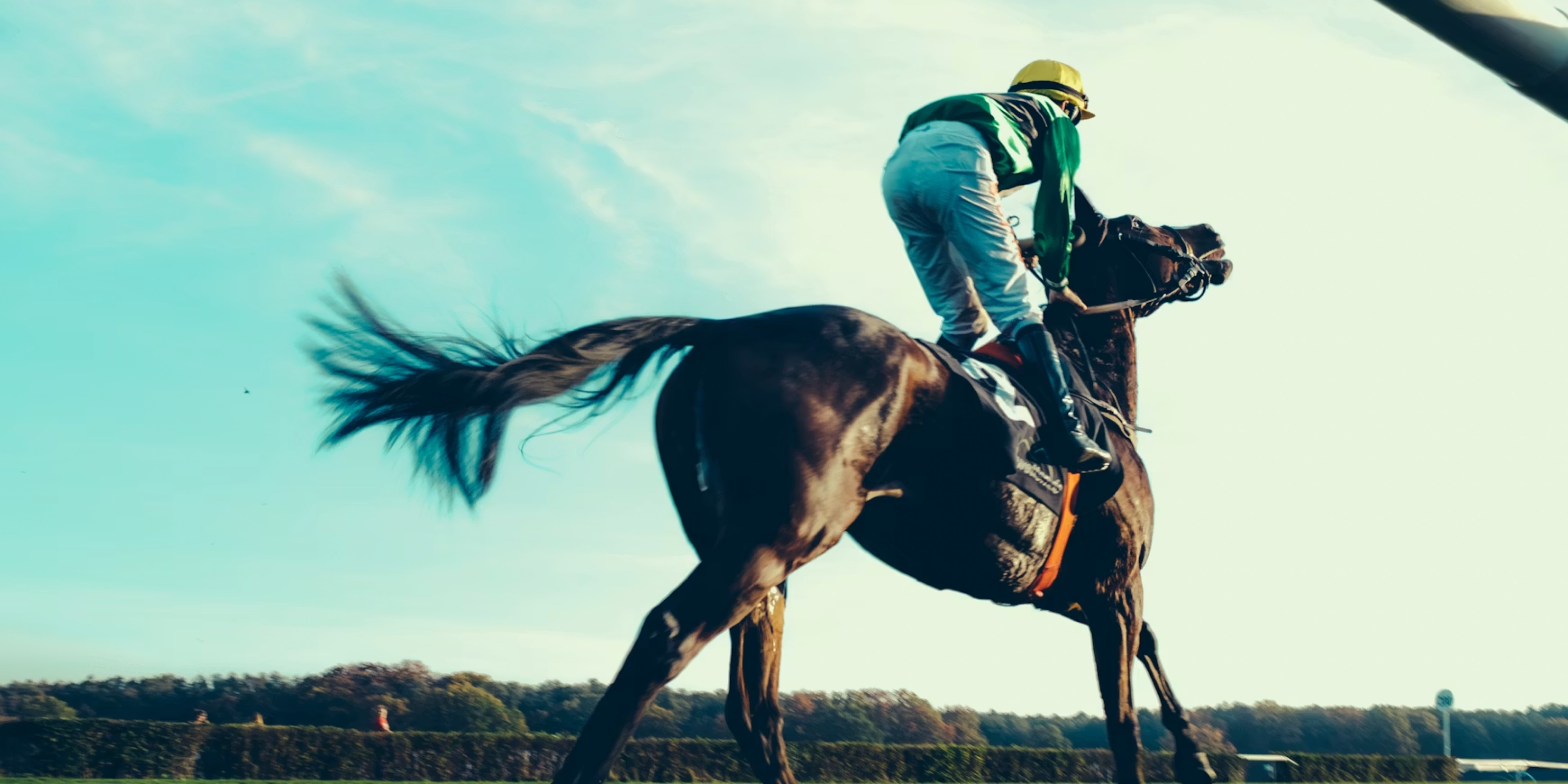 Race Evening at Leopardstown
