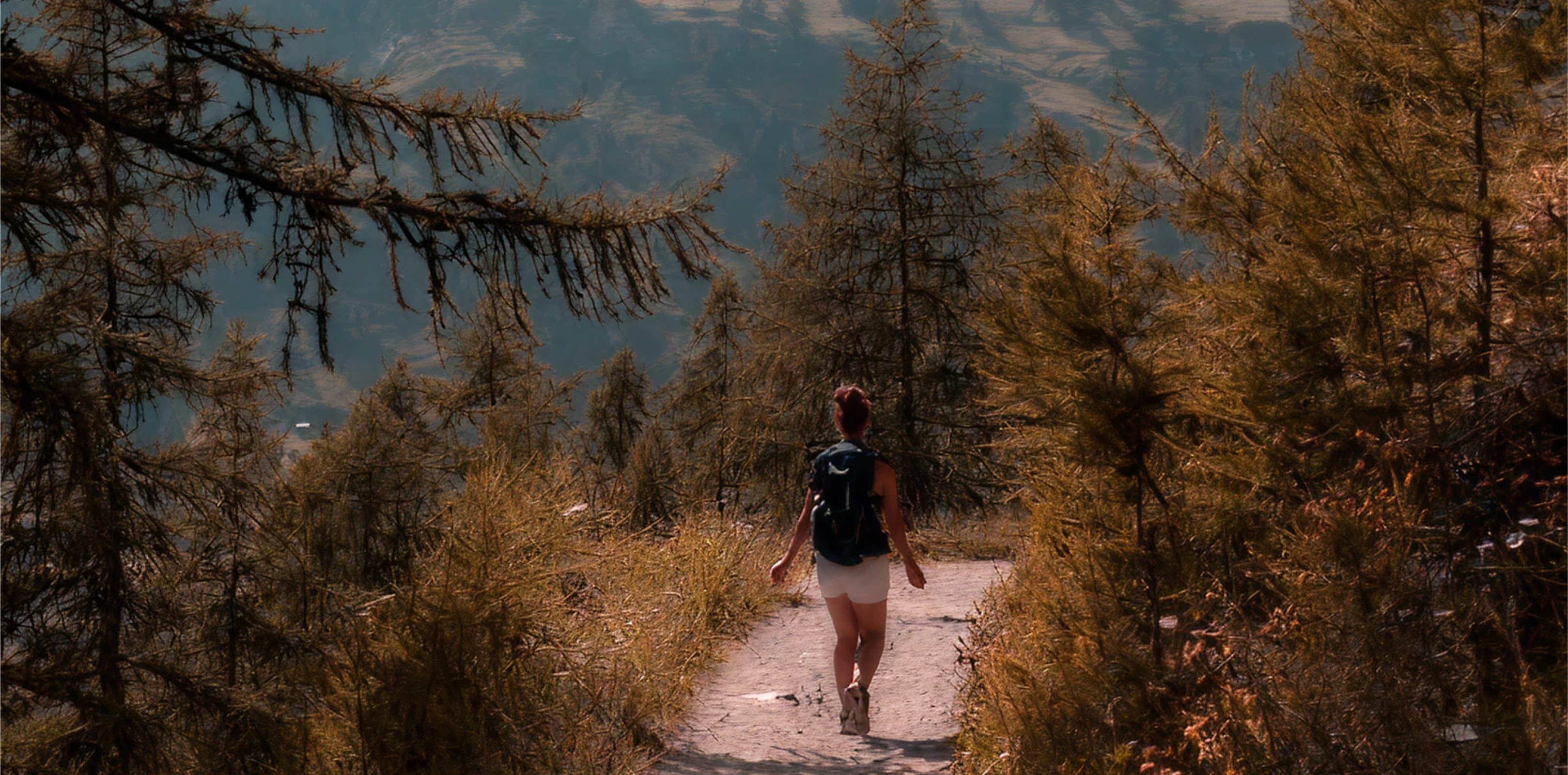 Preparing for Your Camino Journey | Bealtaine