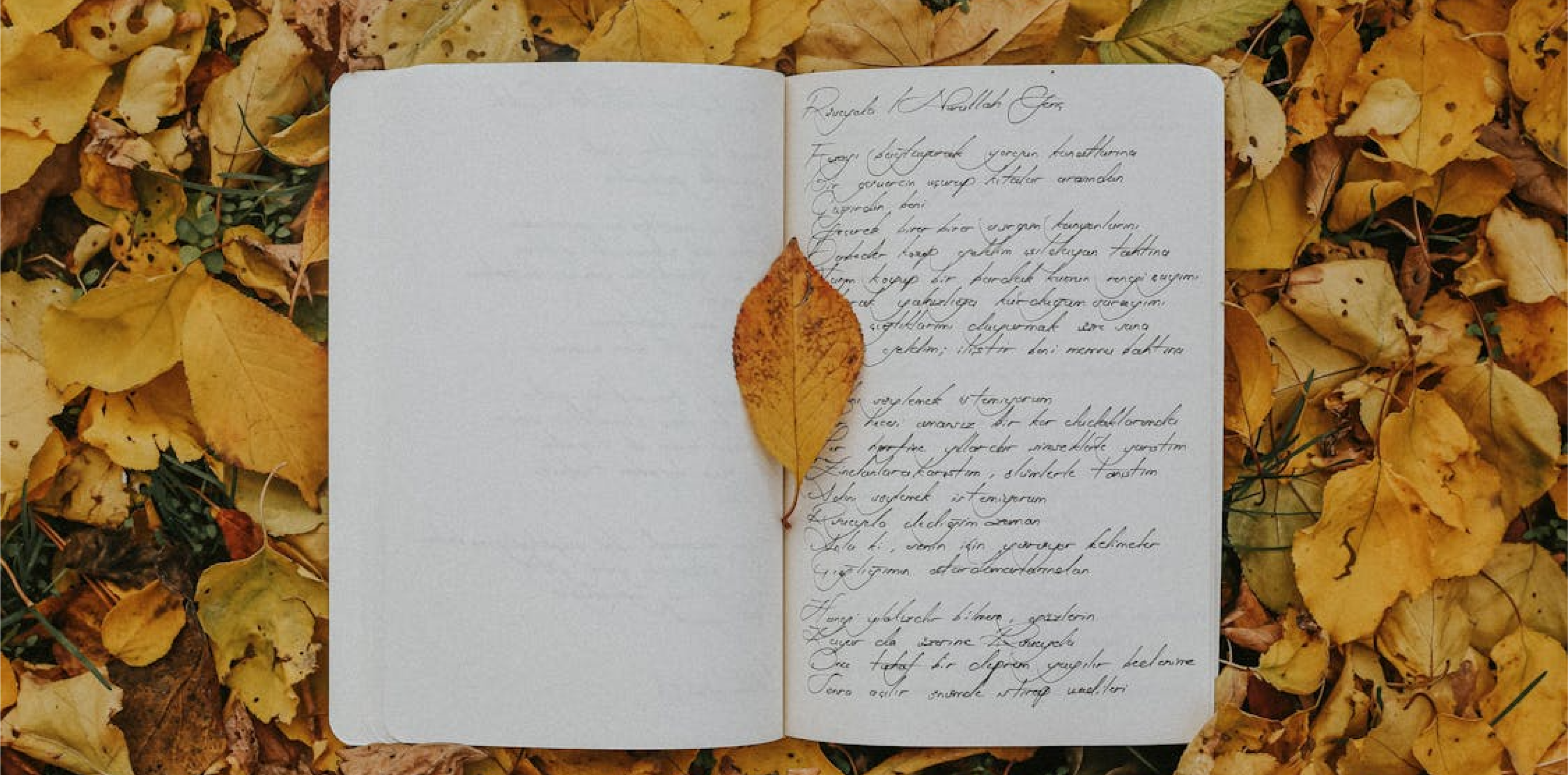 RDS Bloomsday Celebrations
