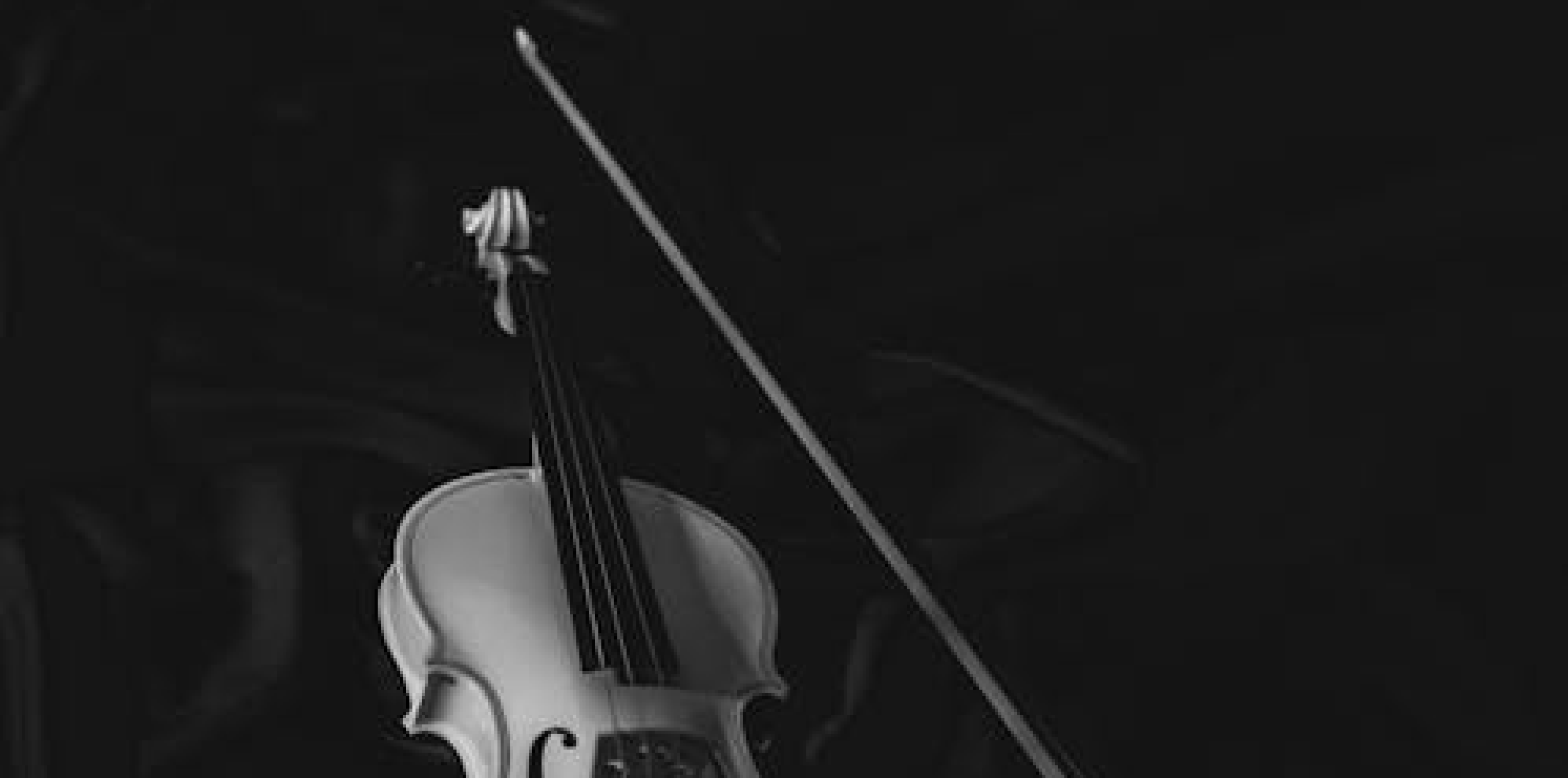 Up Close | Vladimir Jablokov
