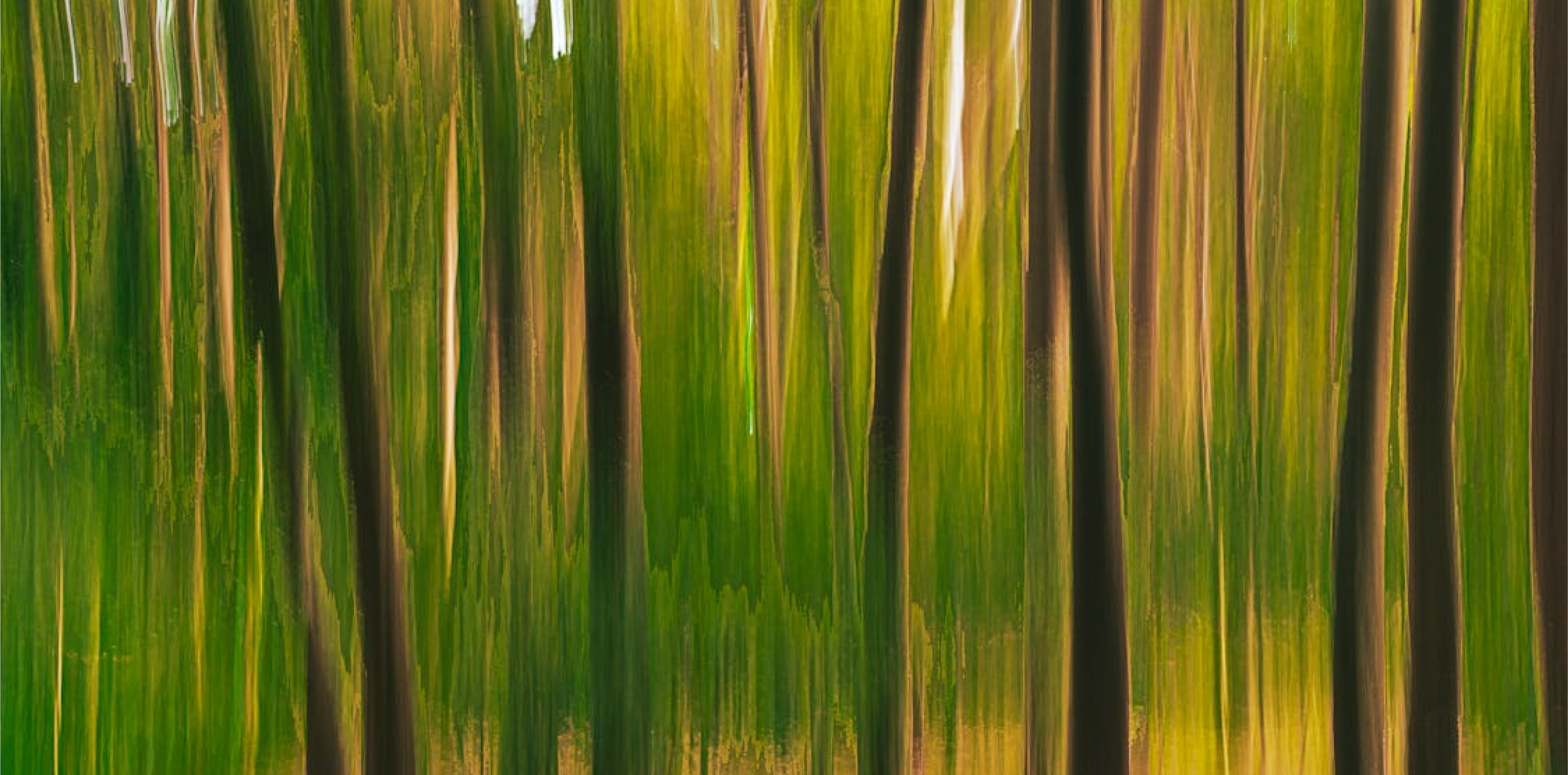 Surreal Landscapes | Sunday Family Drop-in Workshop