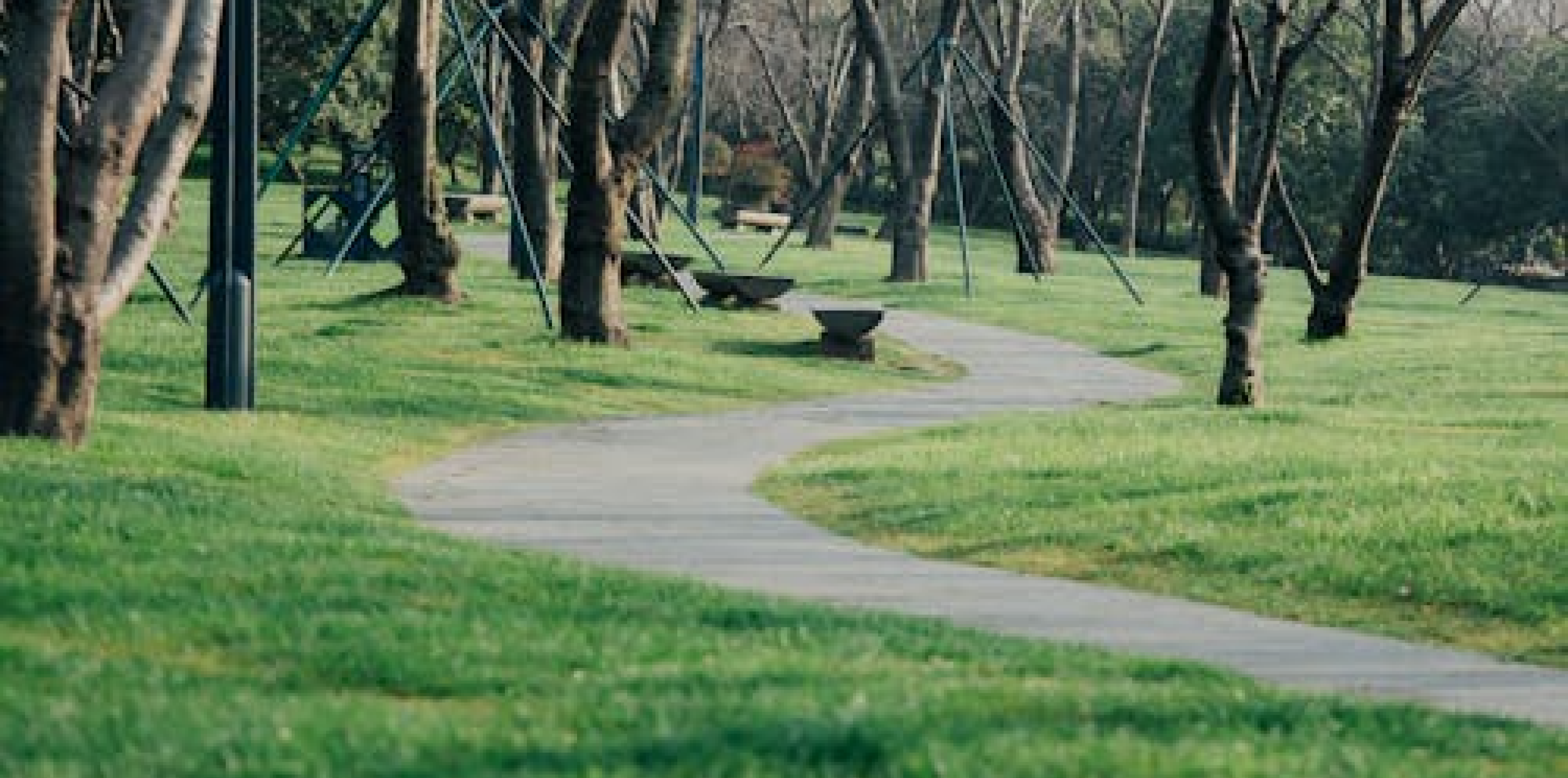 Biodiversity Walk through St Enda’s Park
