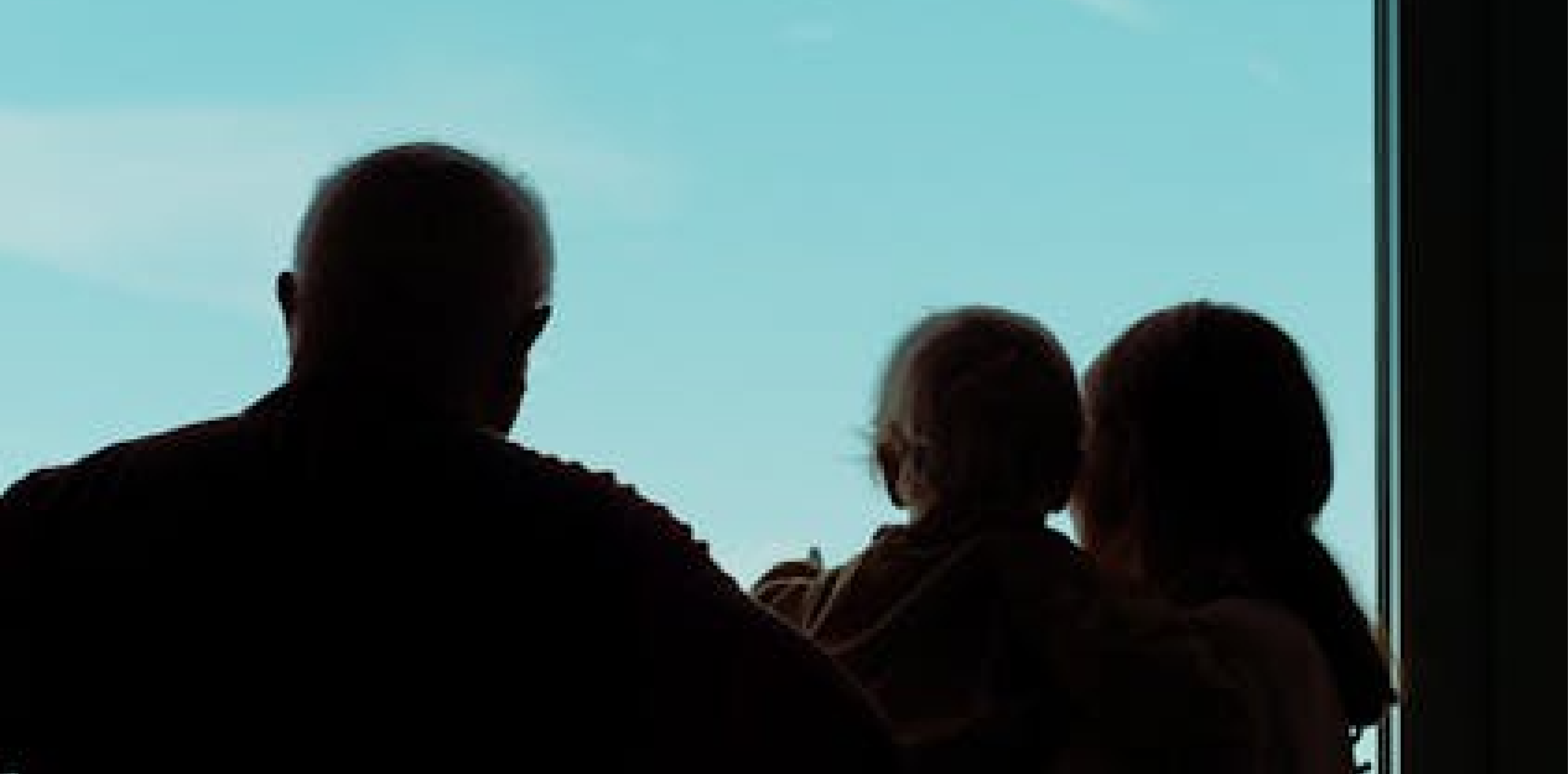 THE HANDSOME FAMILY