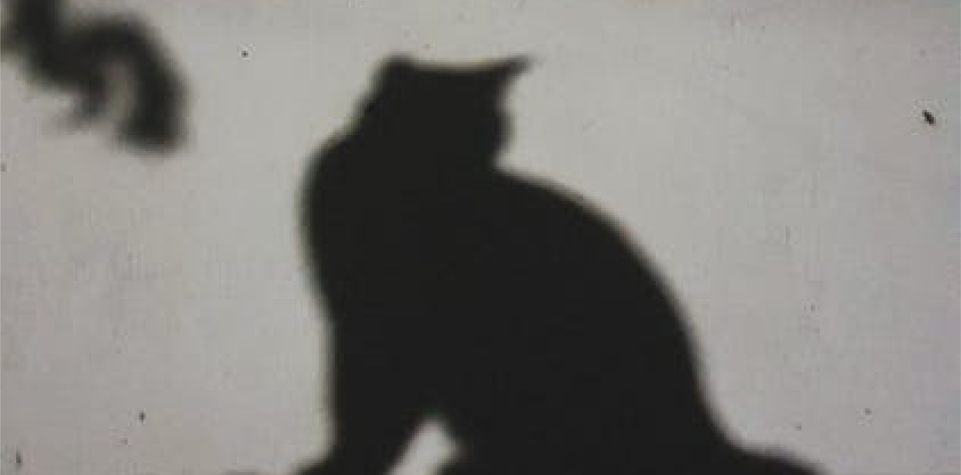 Creatures of Shadow Island | Visual Arts Workshops