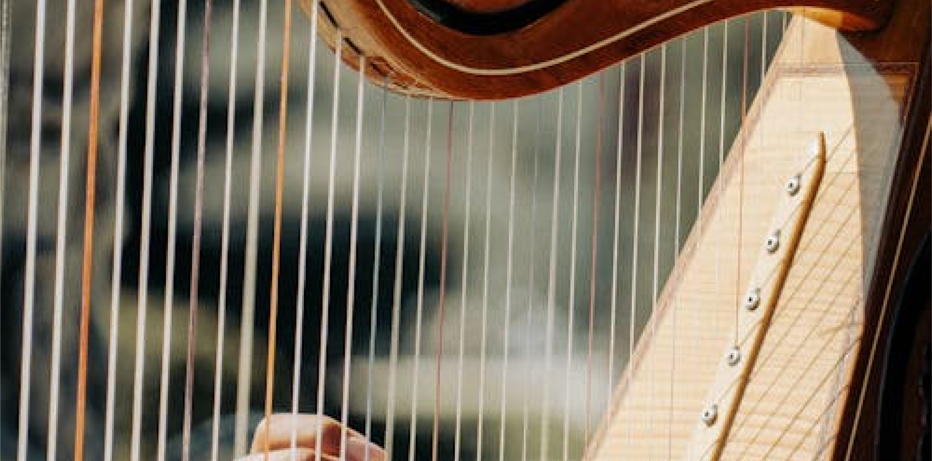 Rachel Duffy | Thursday Lates Musical Performance