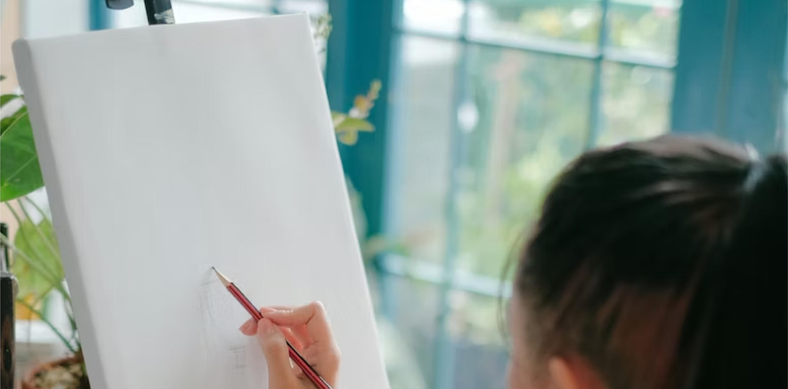 Drawing the Collection