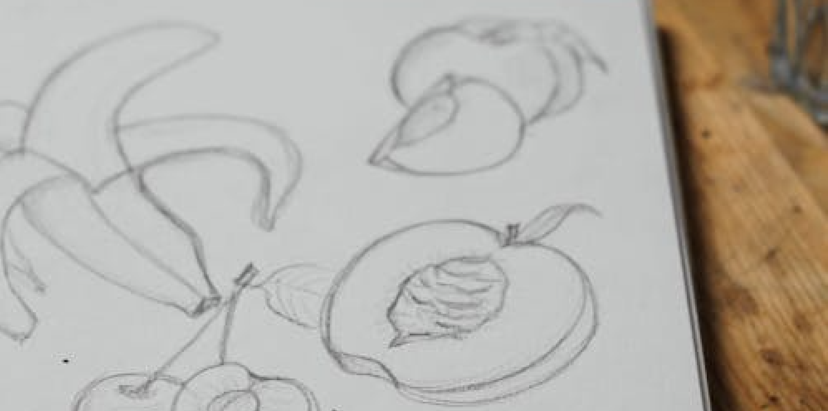 Sketchbook Club | Phizzfest Special Edition