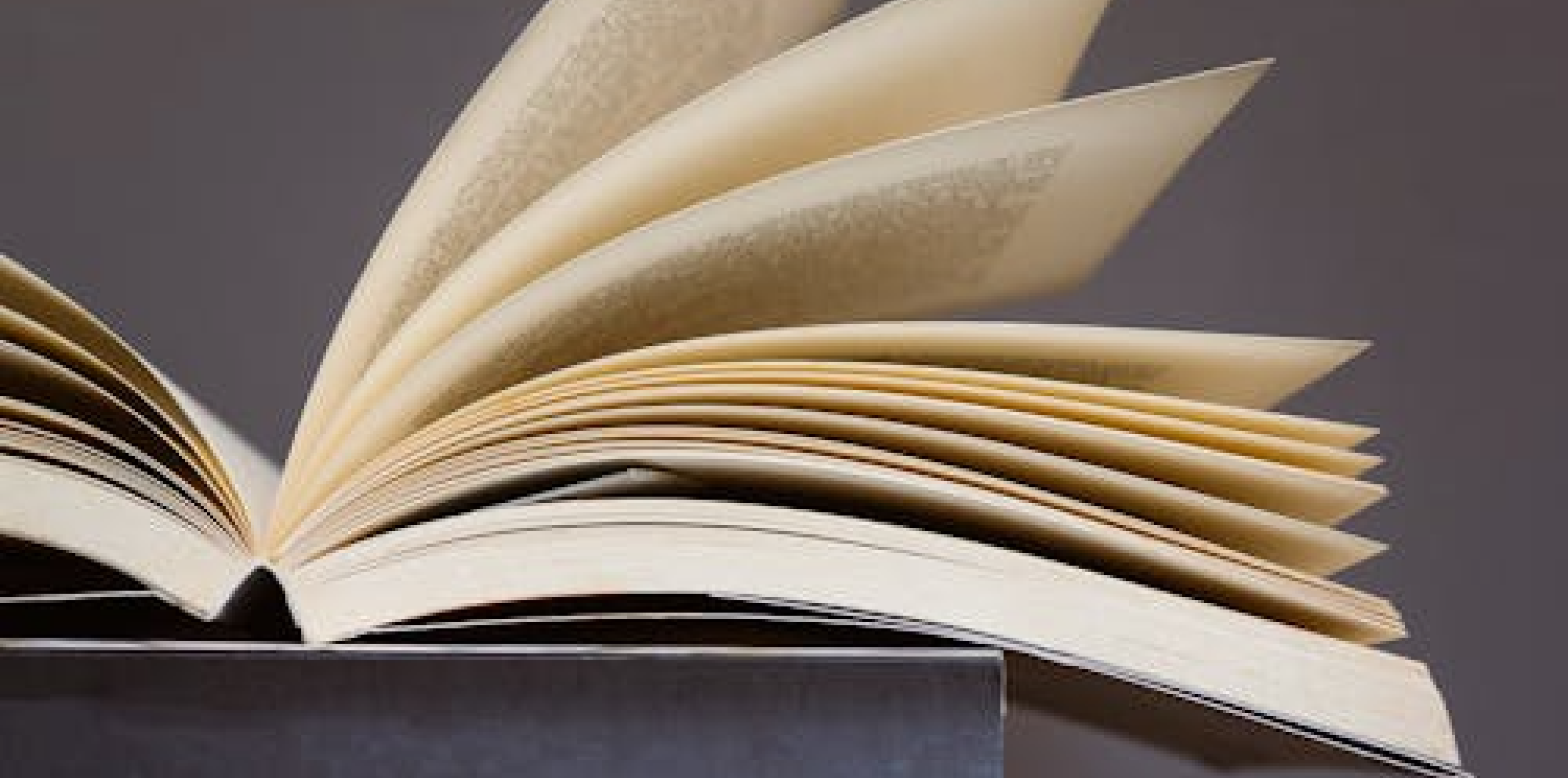 PHIZZFEST BOOK CLUB | Author Henrietta McKervey