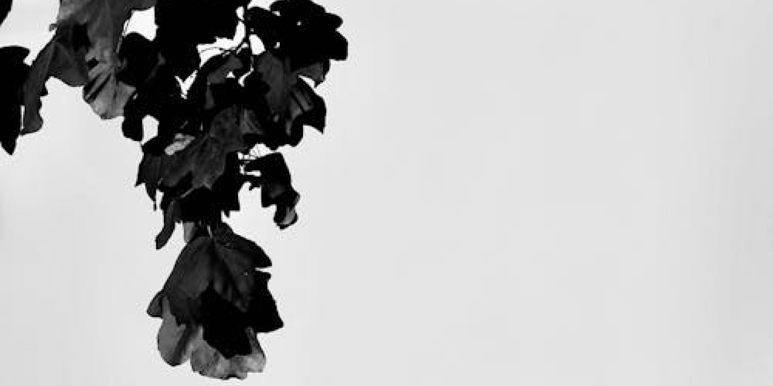 An Afternoon of Storytelling | Eddie Lenihan