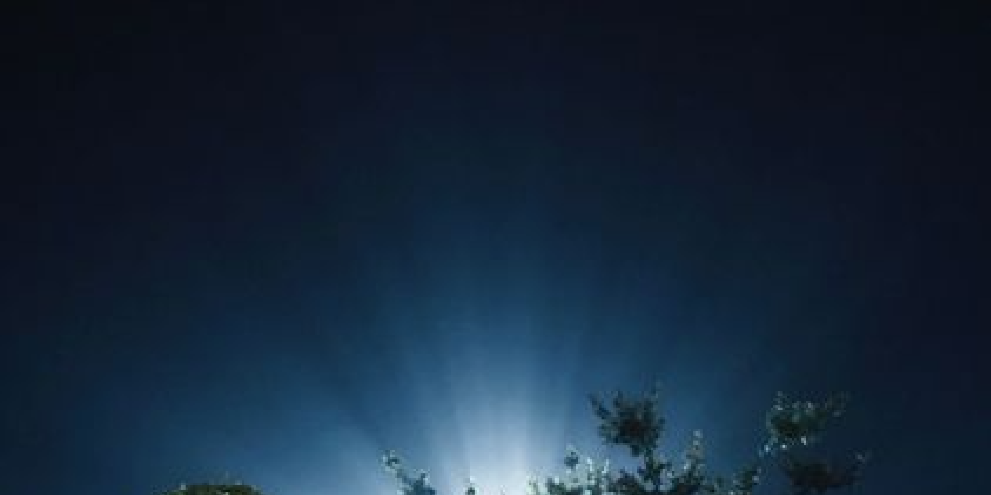 Music of the Night