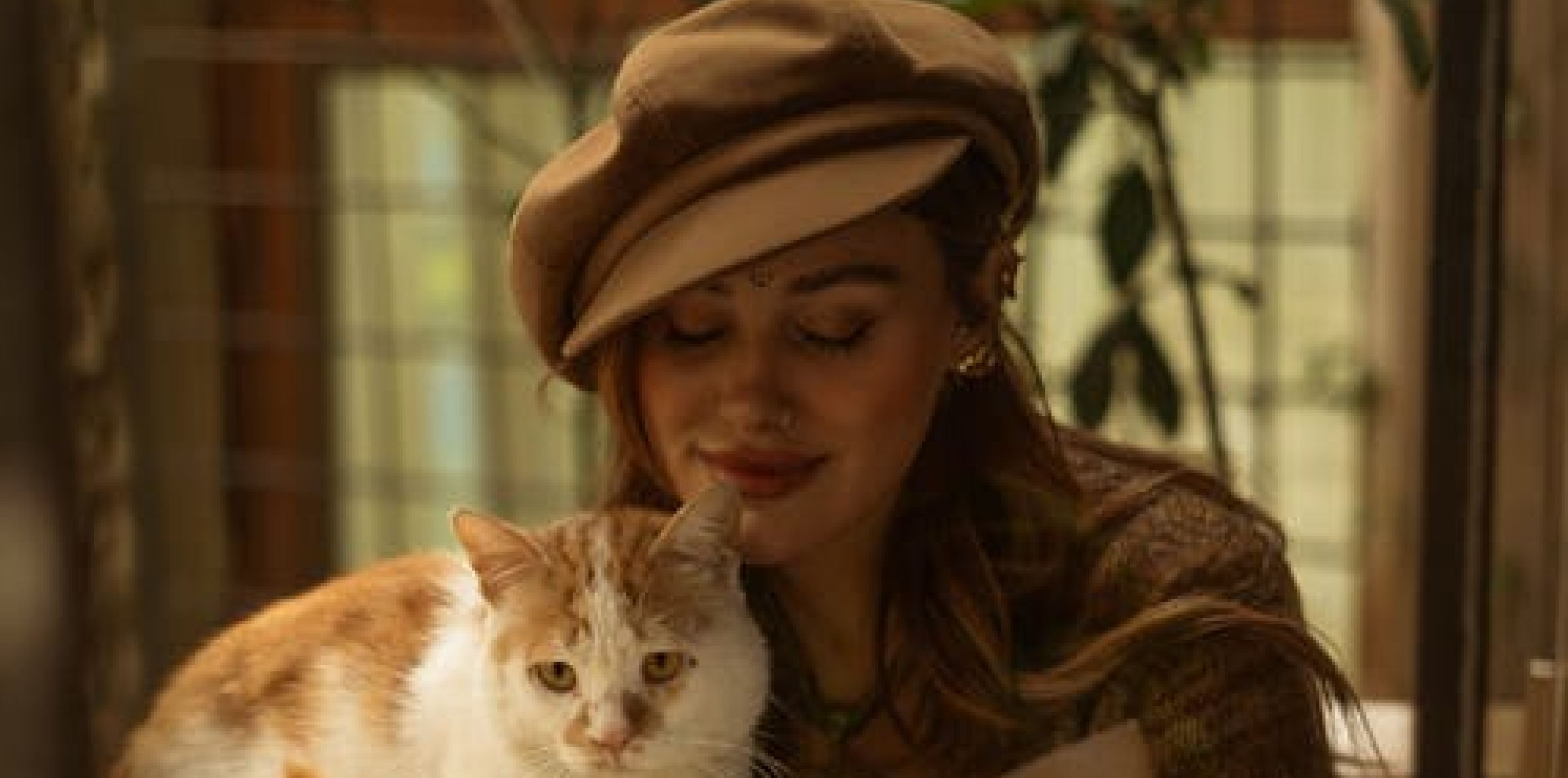 Cool for Cats! | Alan Windram