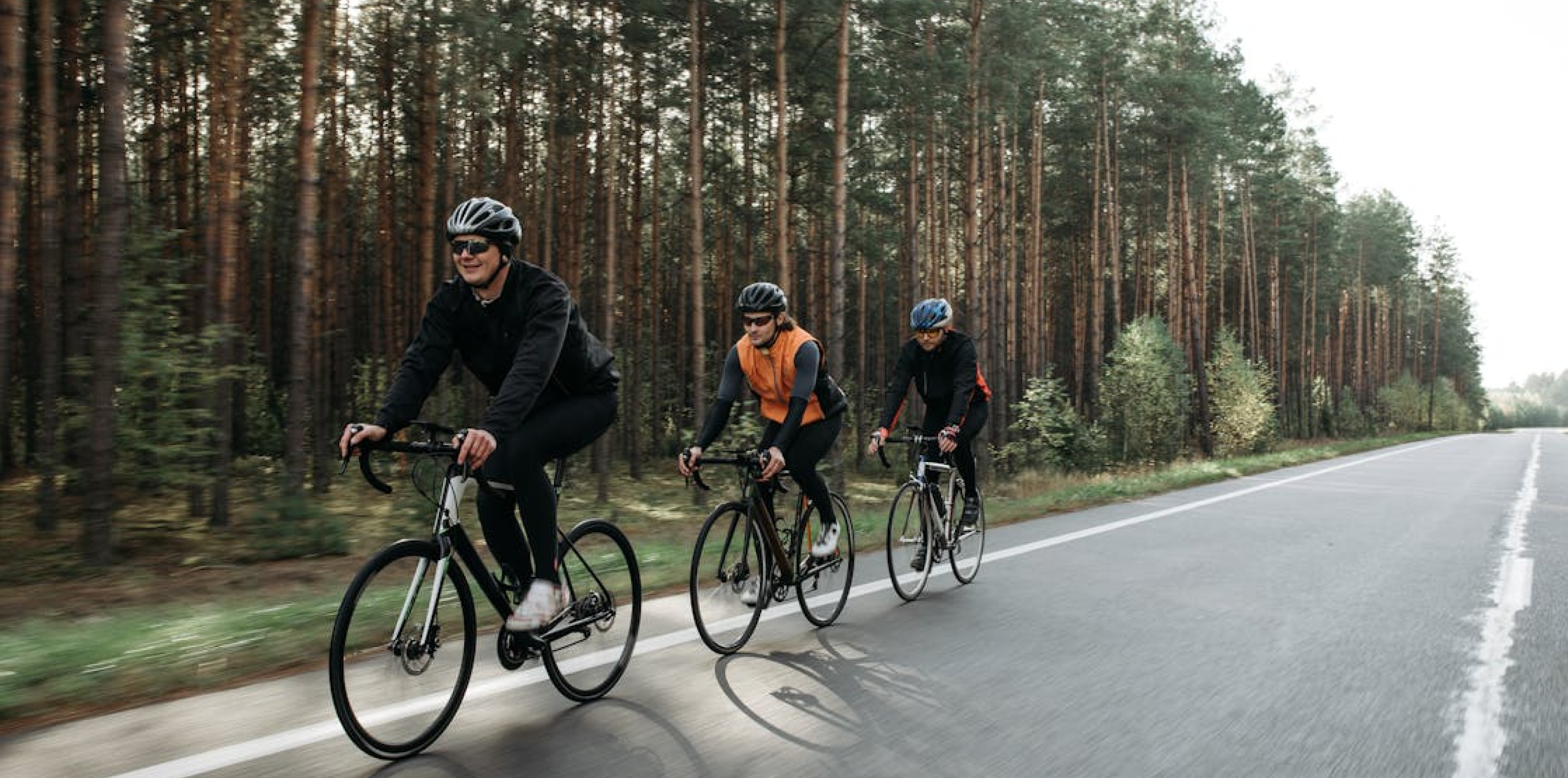 Bikes, Birds and Biosphere: Dublin Port to Bull Island Bike Ride
