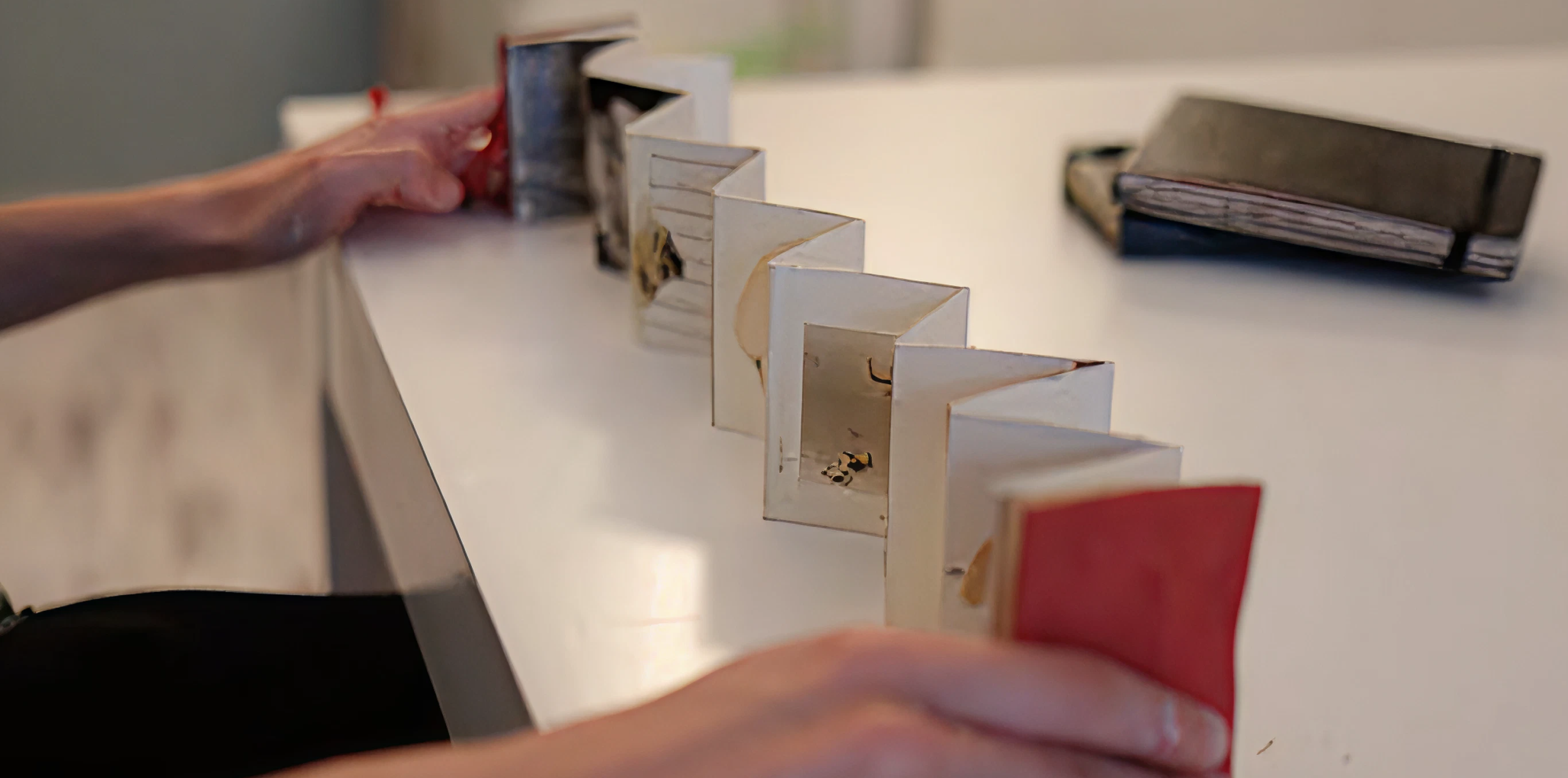 Pride Zine Workshop | Mel Galley: Queer Futurities