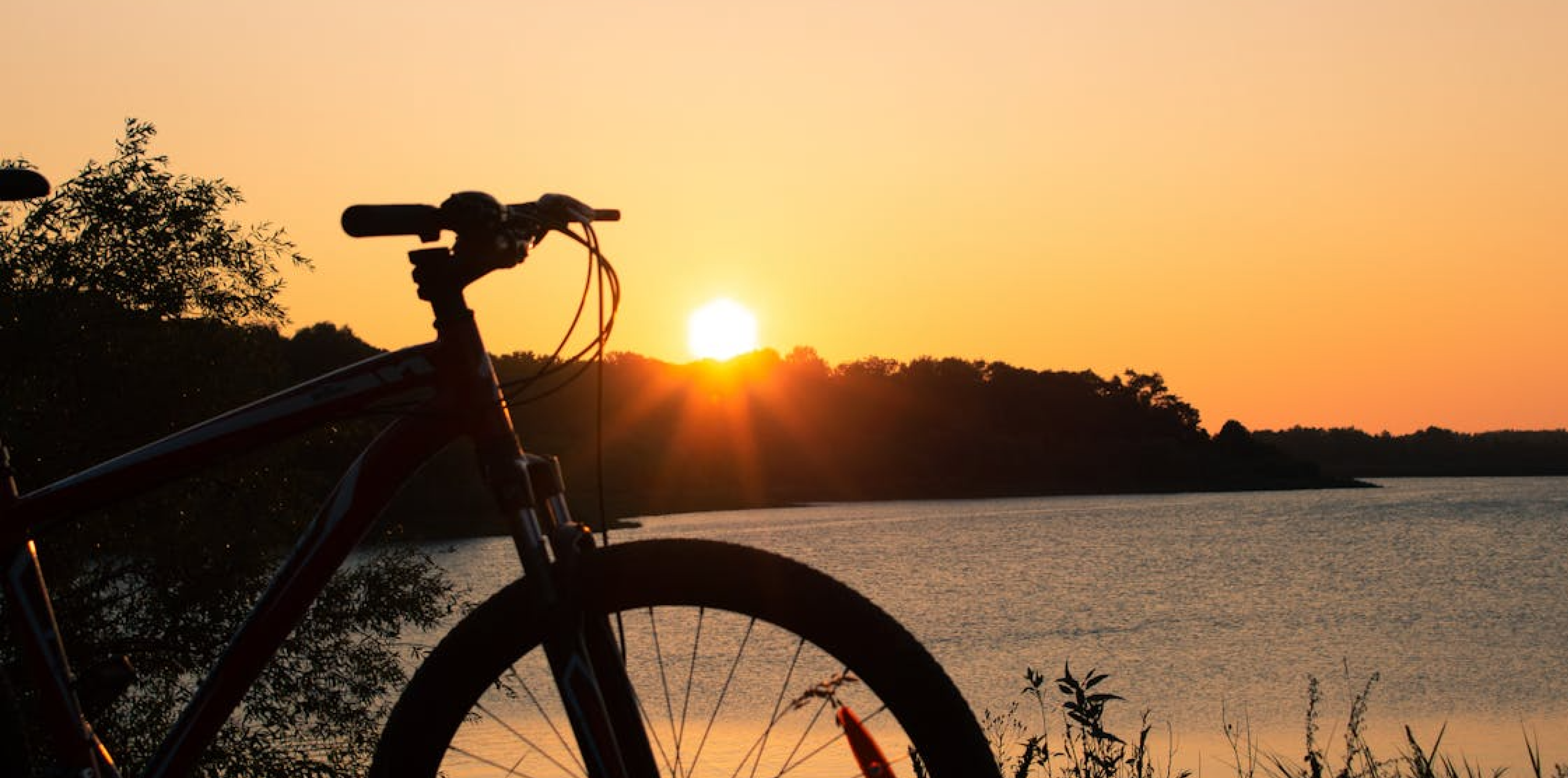 The Sunset Cycle