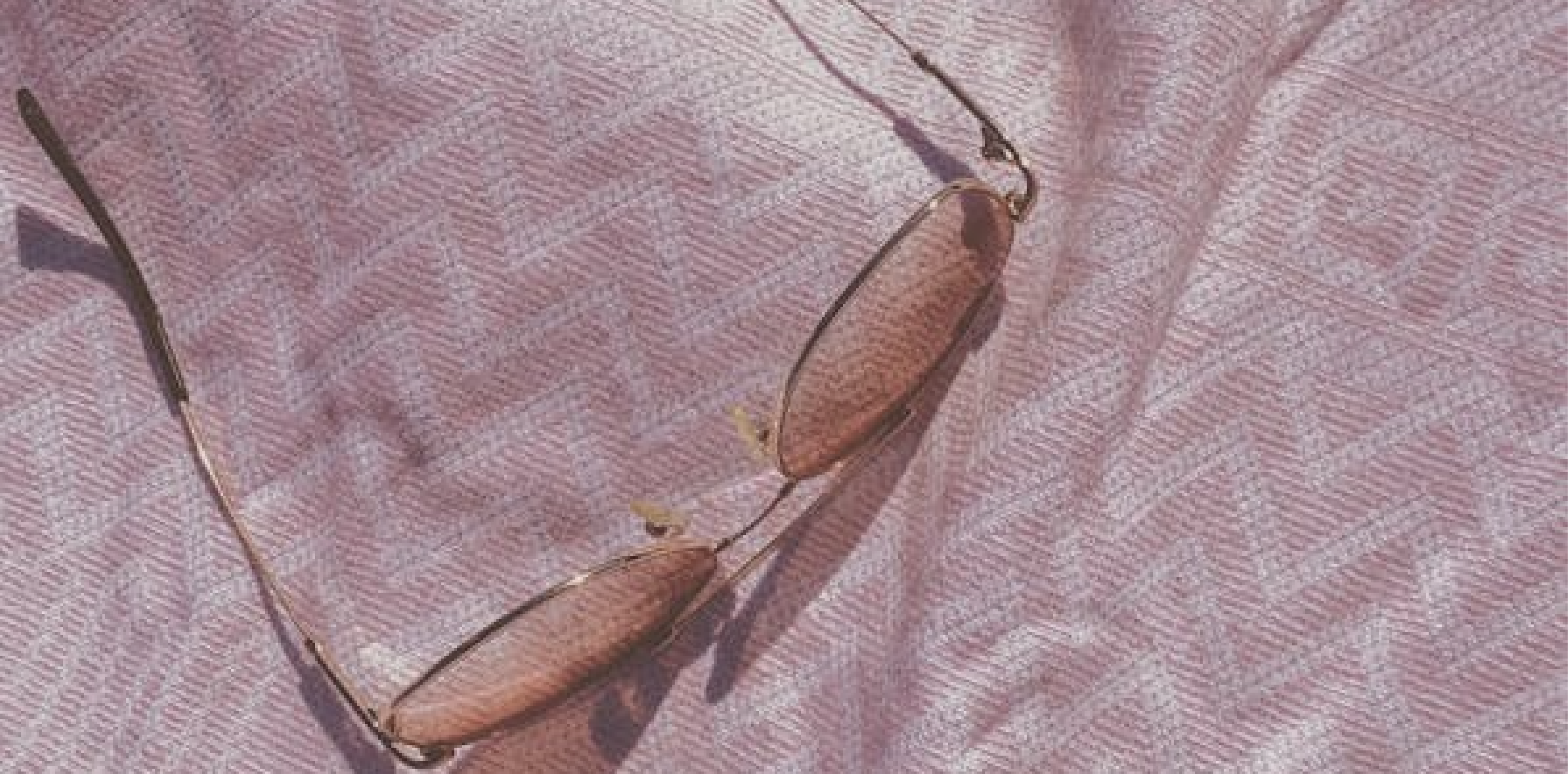 Rose Coloured Glasses | Family Day