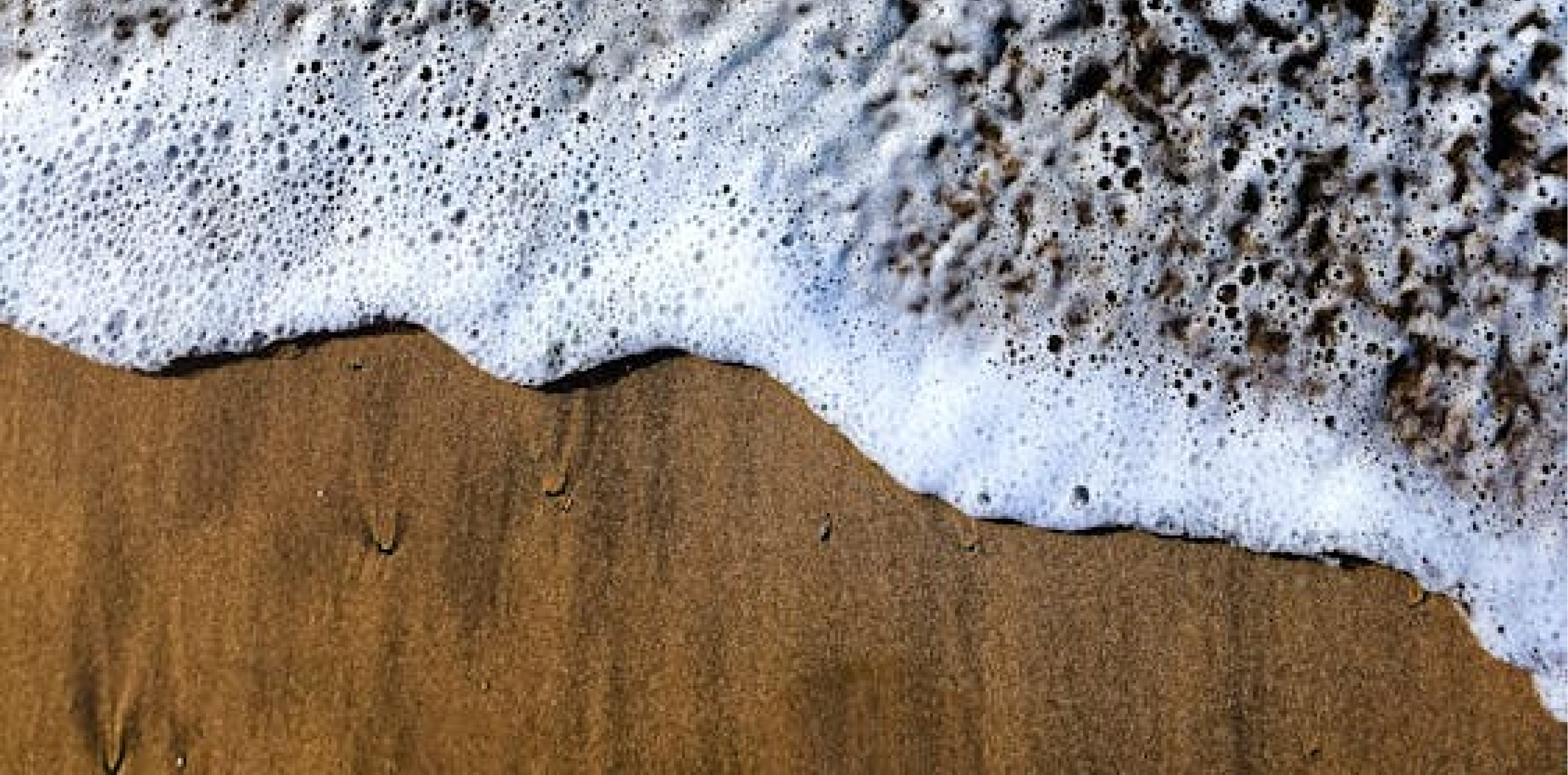 Family Workshop – Spring Foam Printing