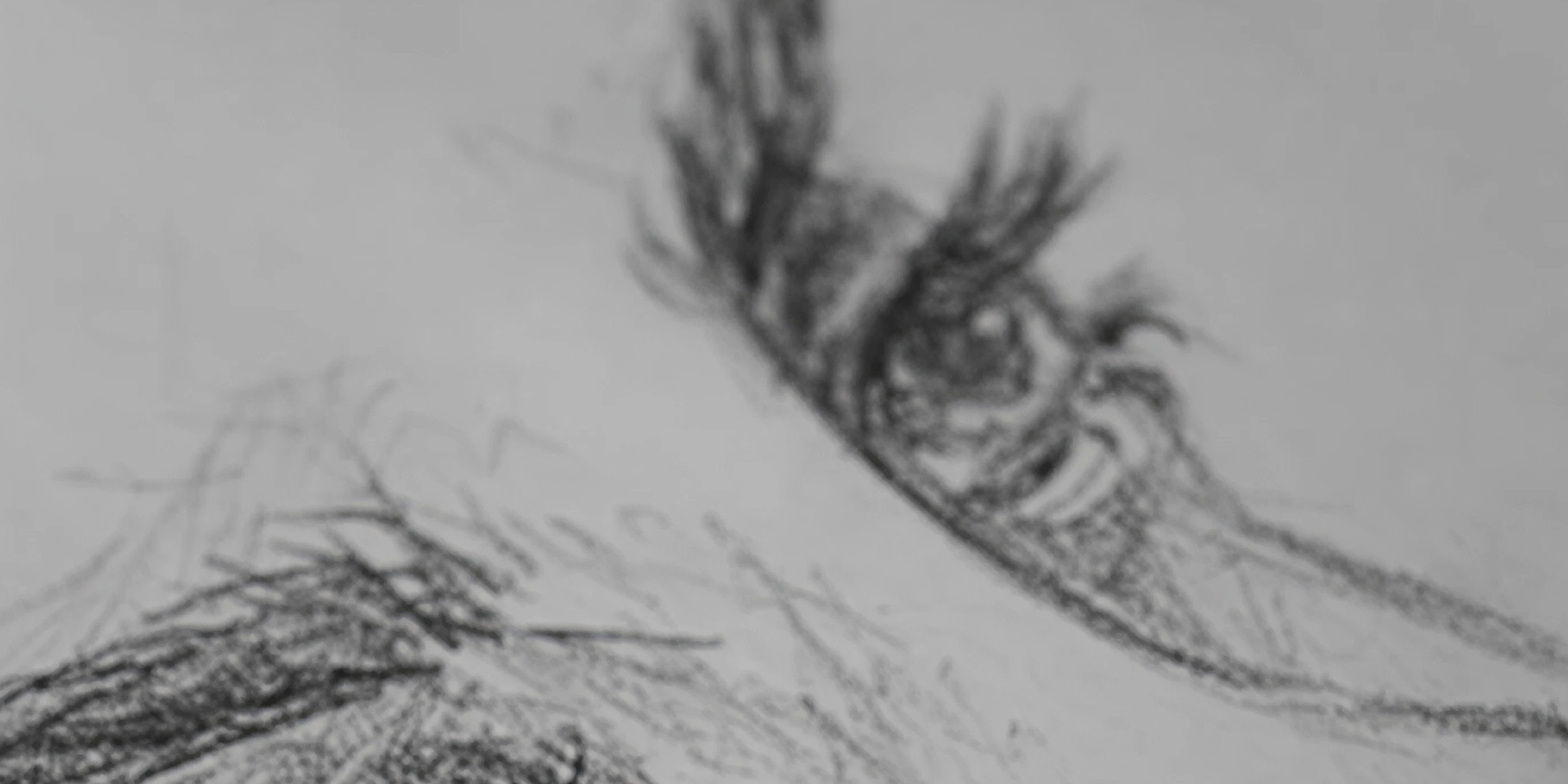 Peer2Peer Life Drawing