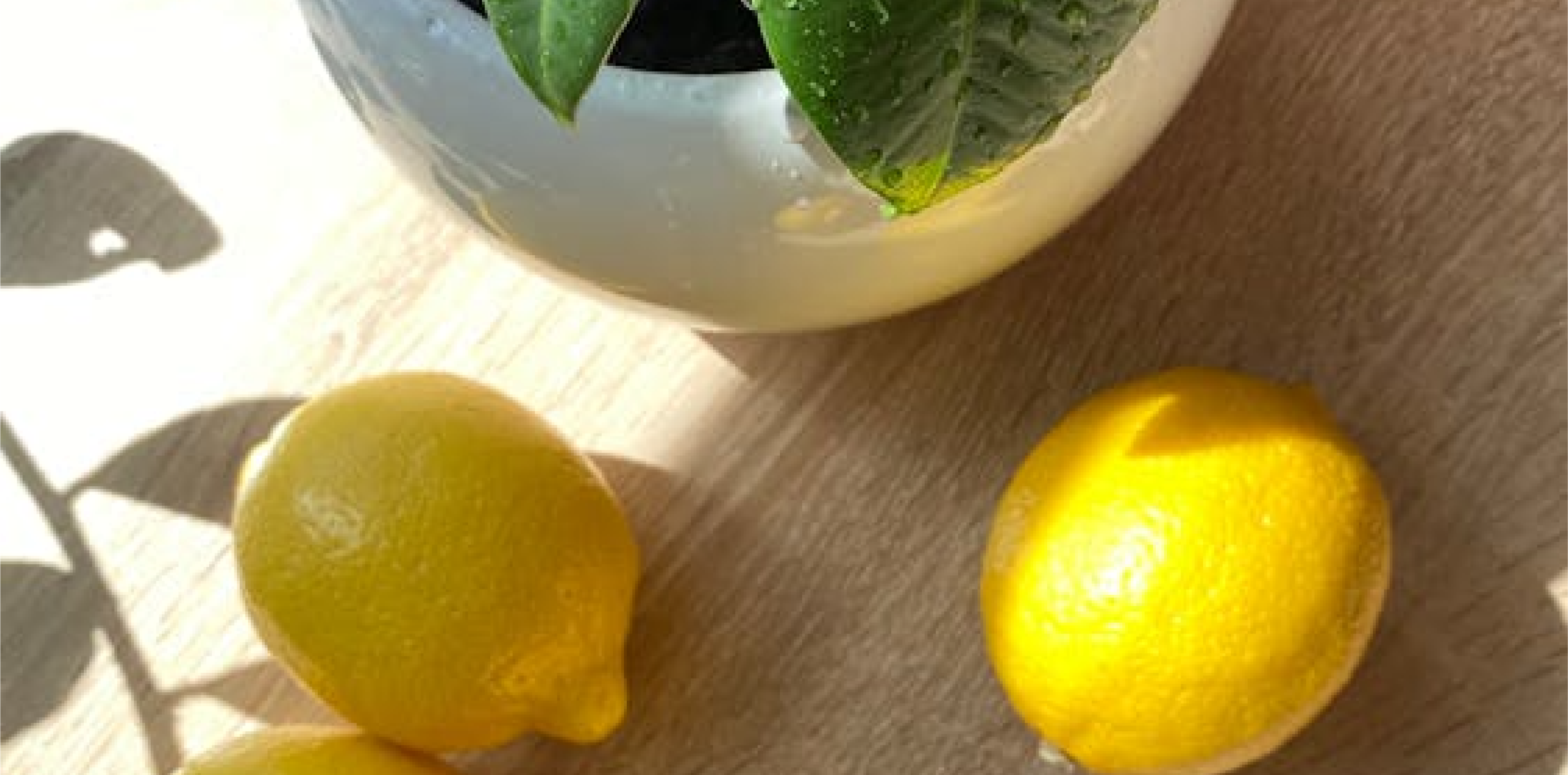 Kyla Cobbler - Not My Lemons