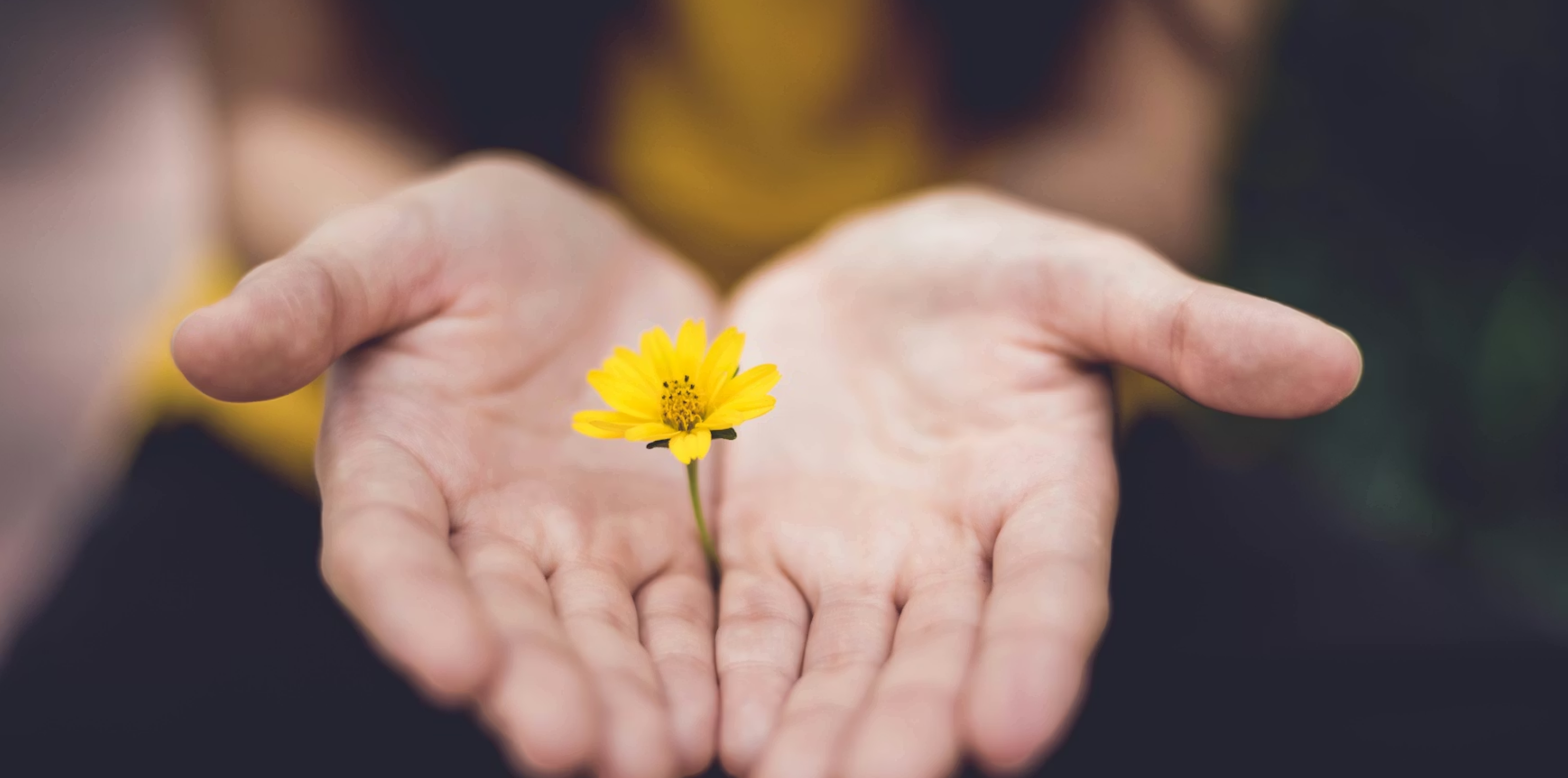 Chant from your Heart | Kirtan & Satsang Night