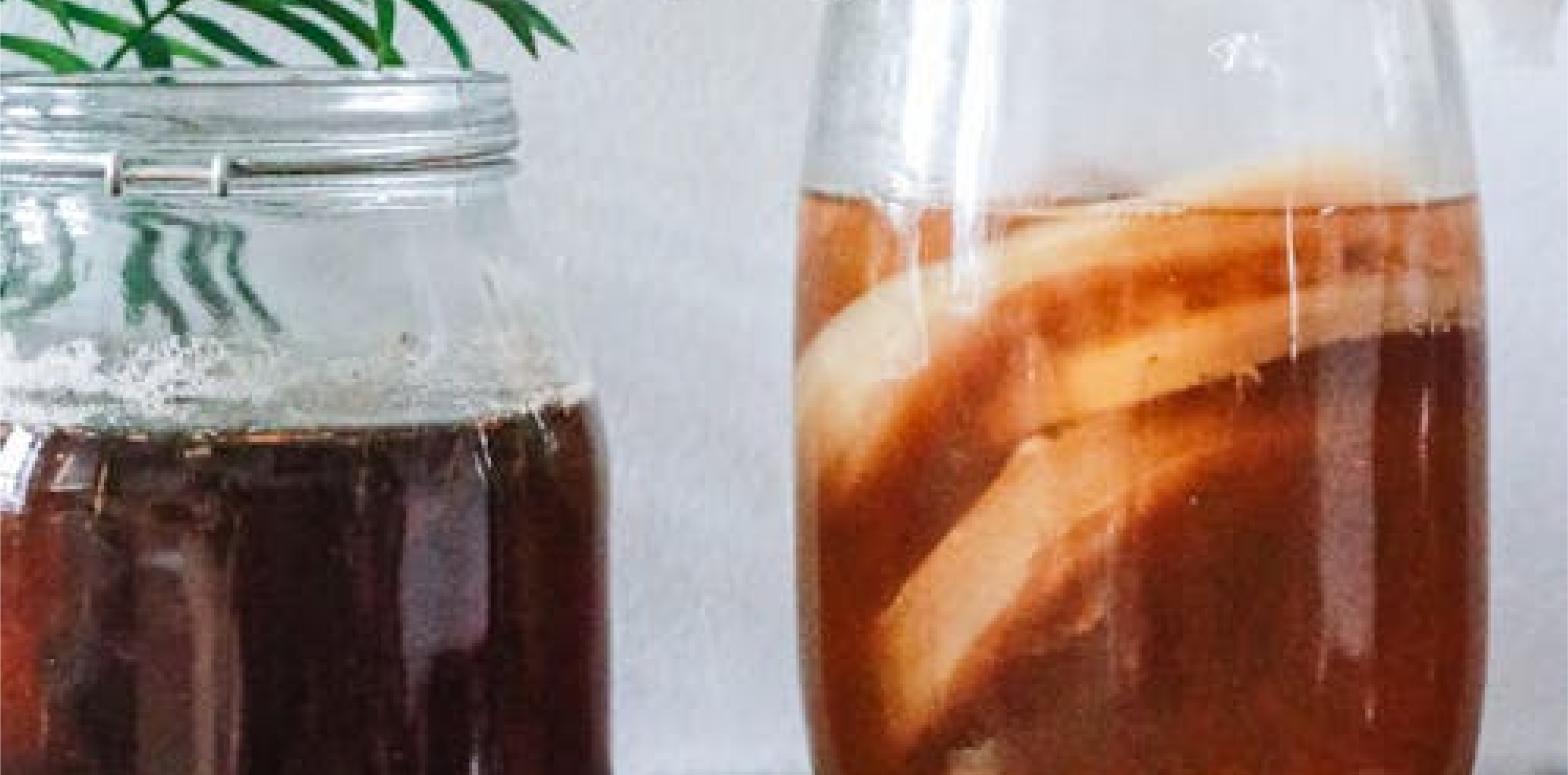 Crash Course in Kombucha Brewing