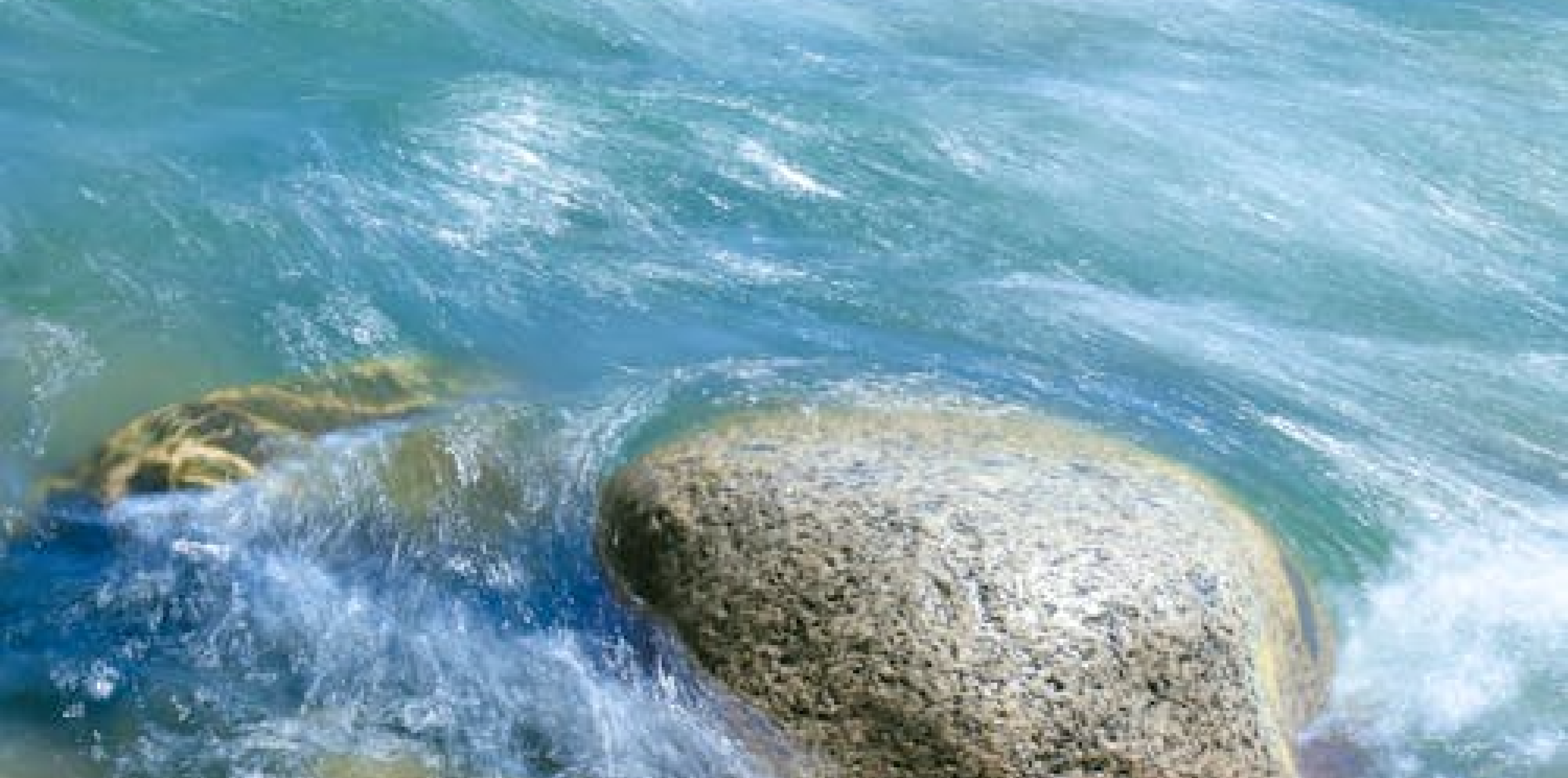 Water Quality Workshop | Dublin Mountains