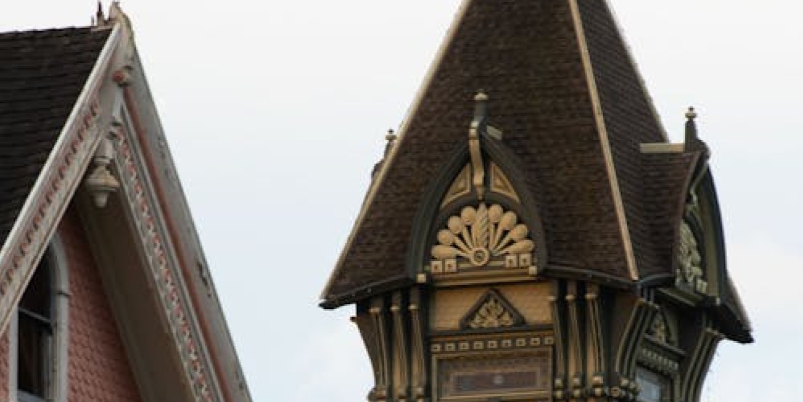 Patrick Wyse Jackson and Louise Caulfield Walking Tour