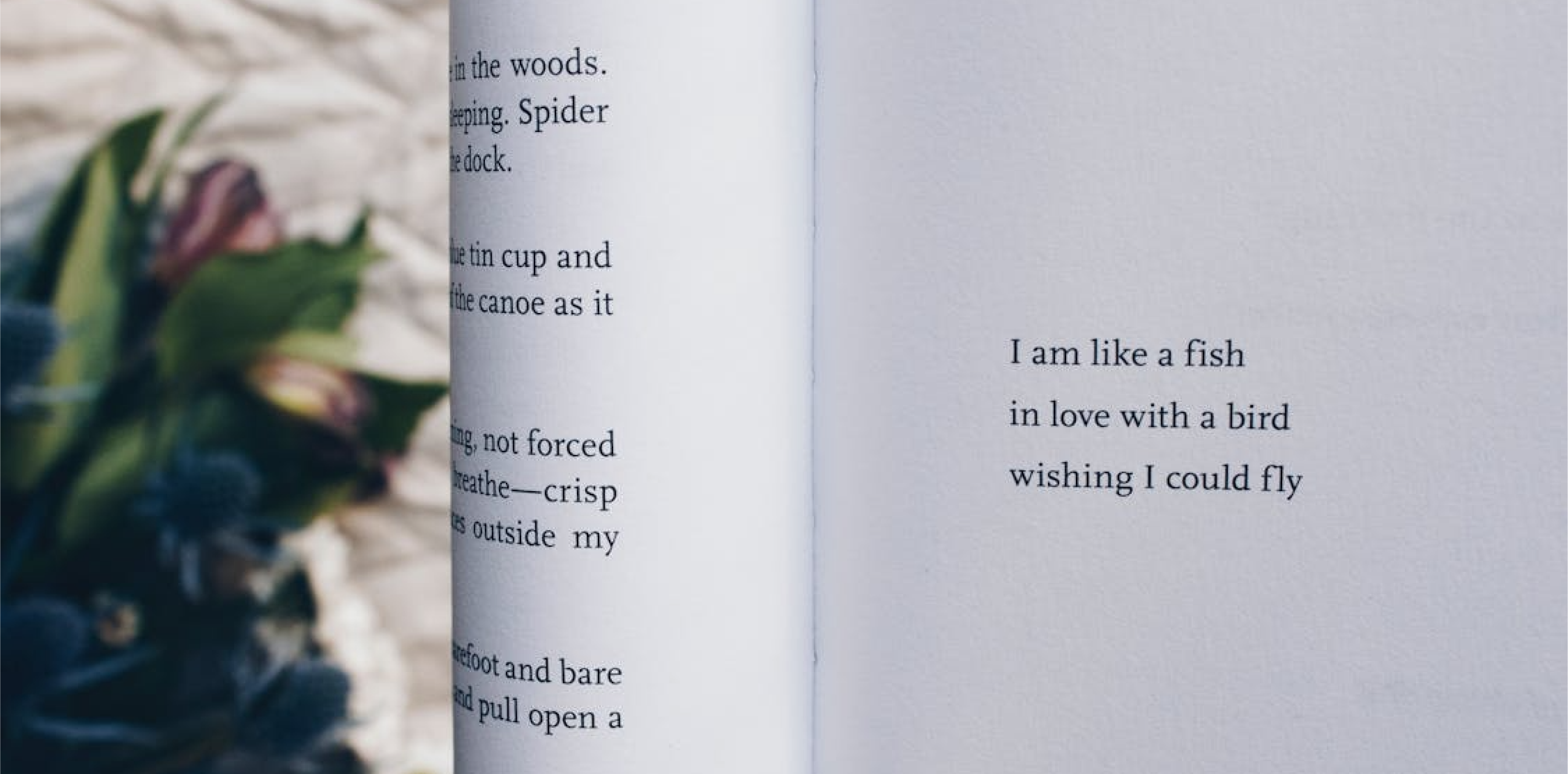 Lust for Poetry Workshop