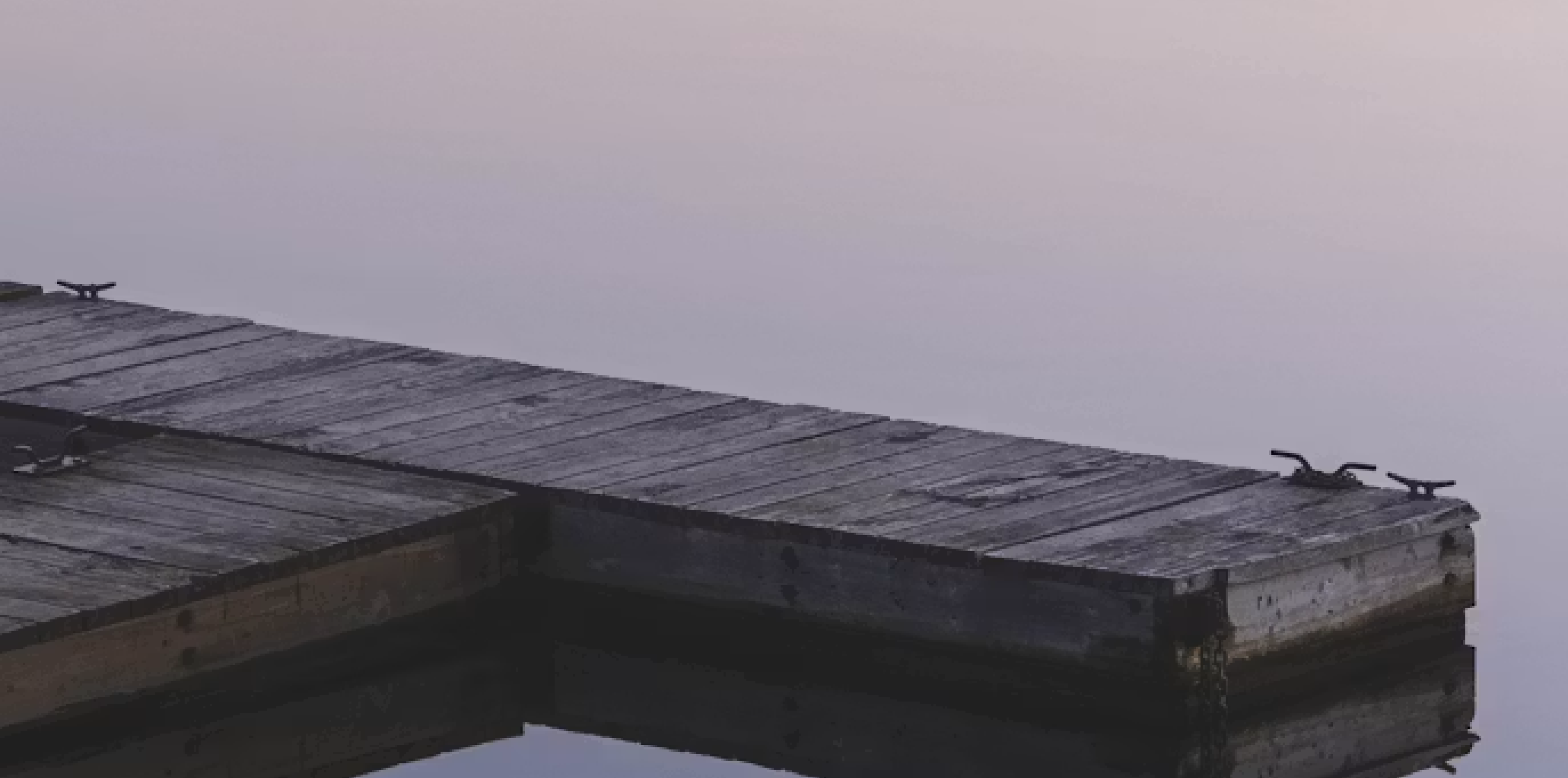 Quiet Is the New Loud | Emily Catalano