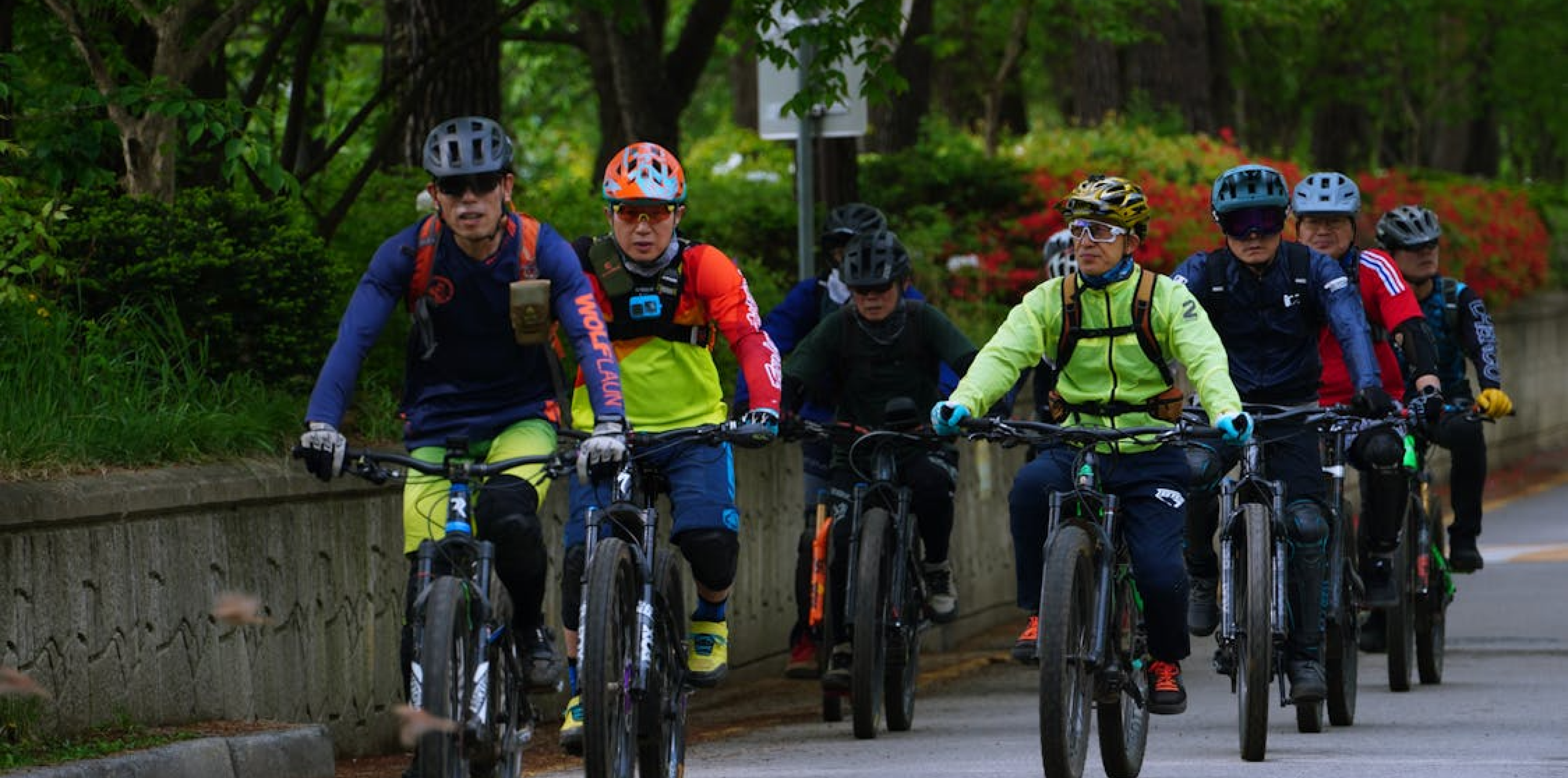 Pedal Power