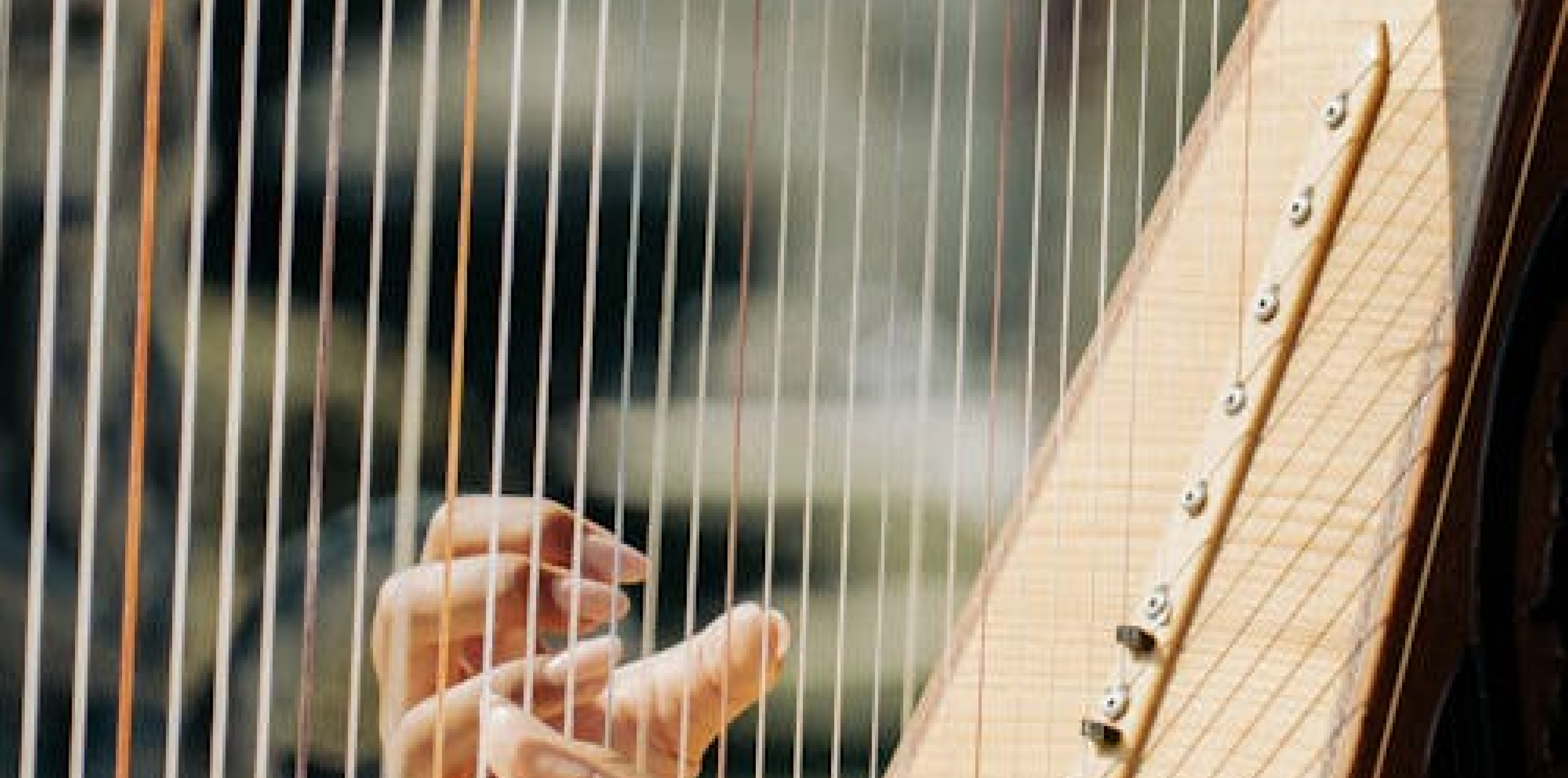 Harp Sessions | The Sugar Club