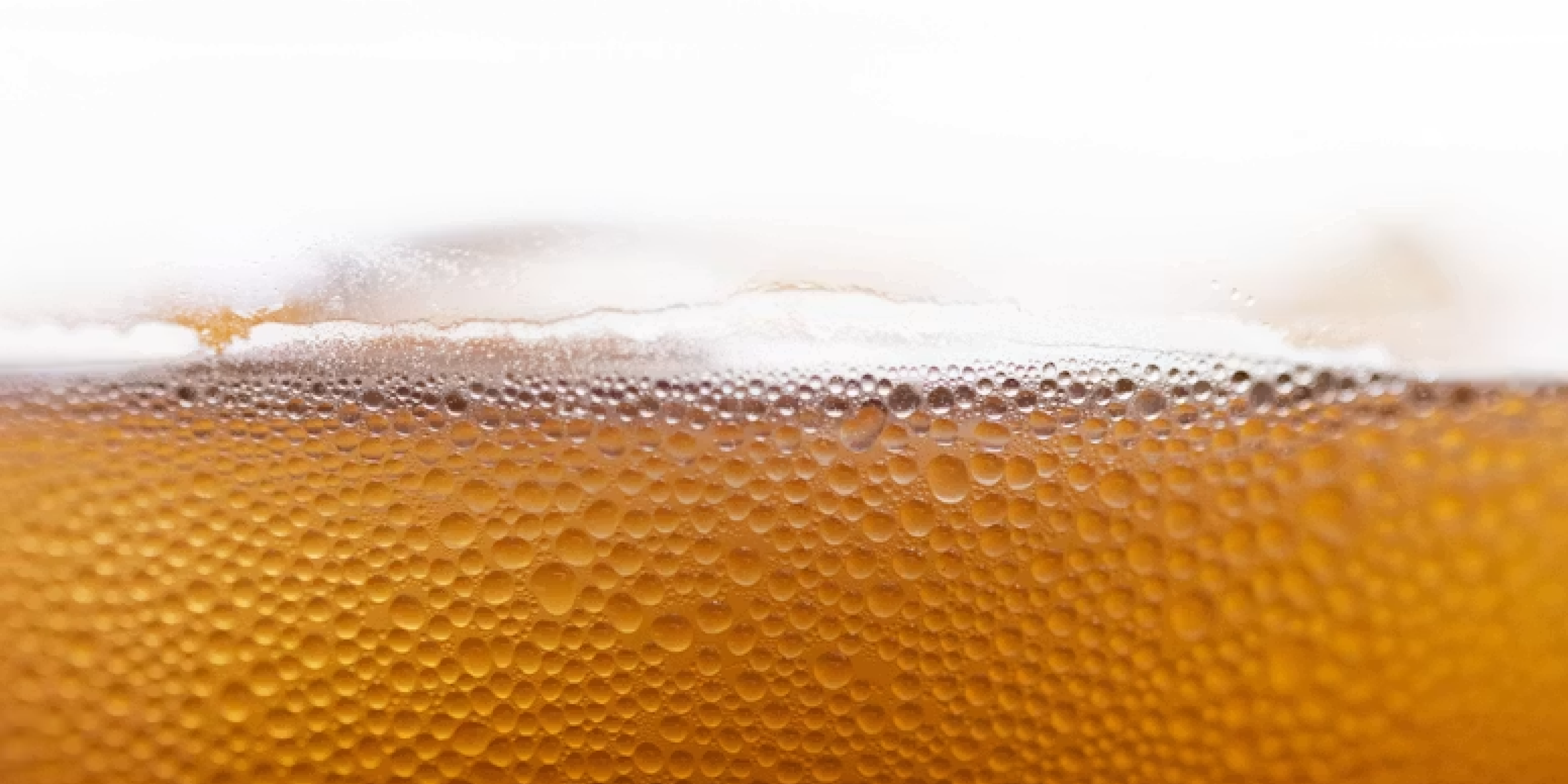 Creative Brew | Summer Get Together