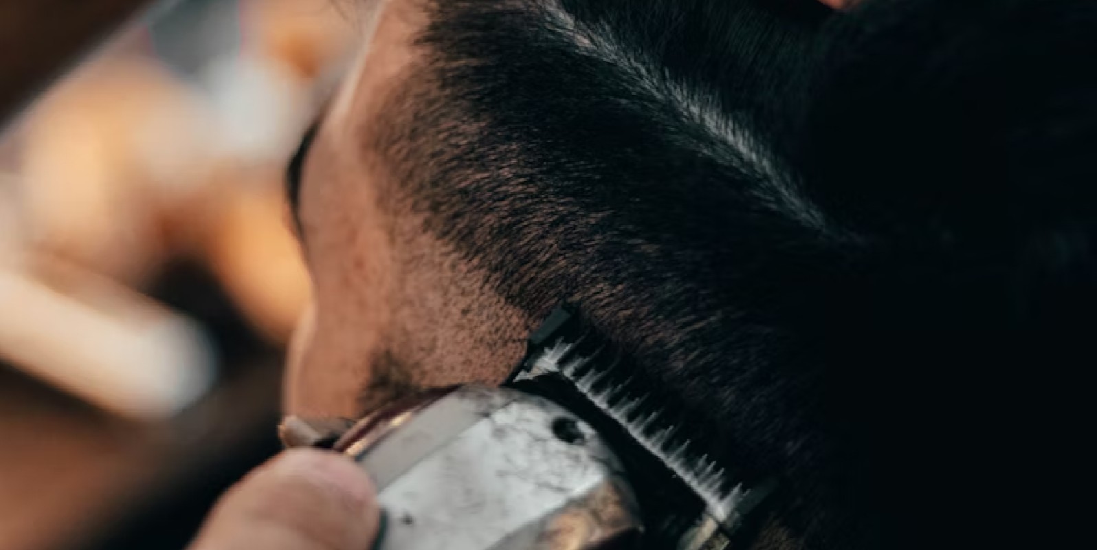 IRISH BARBER EXPO 2026