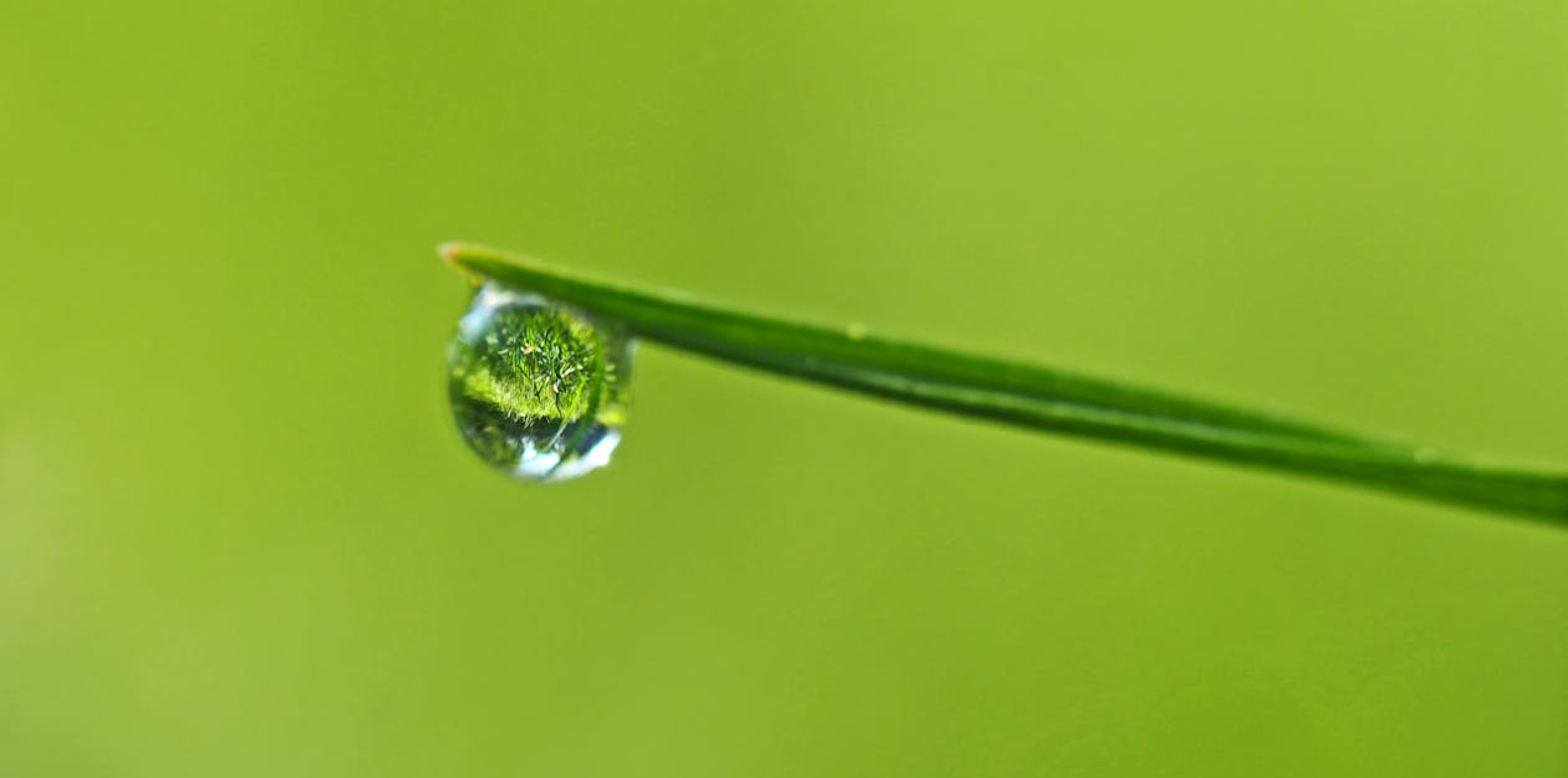 Dew Drop | Comedy club