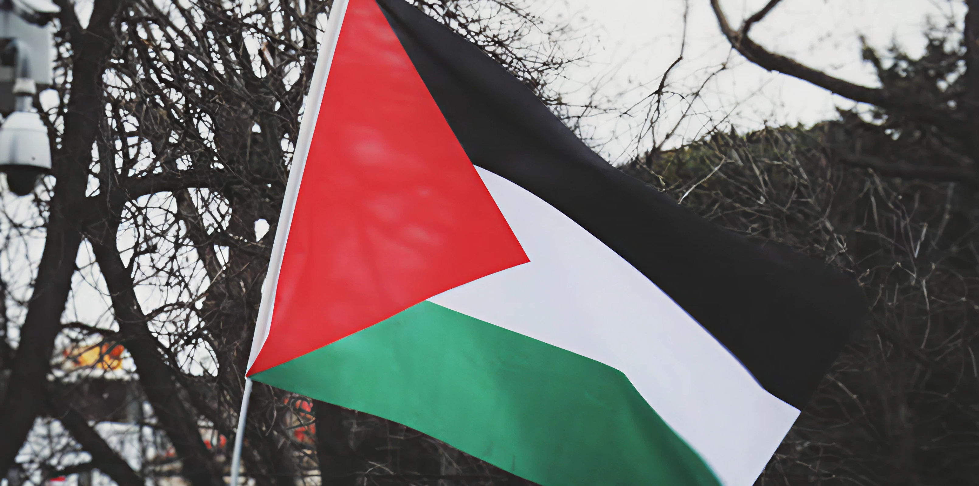 Fly the Flag For Palestine | Dundrum Bridge