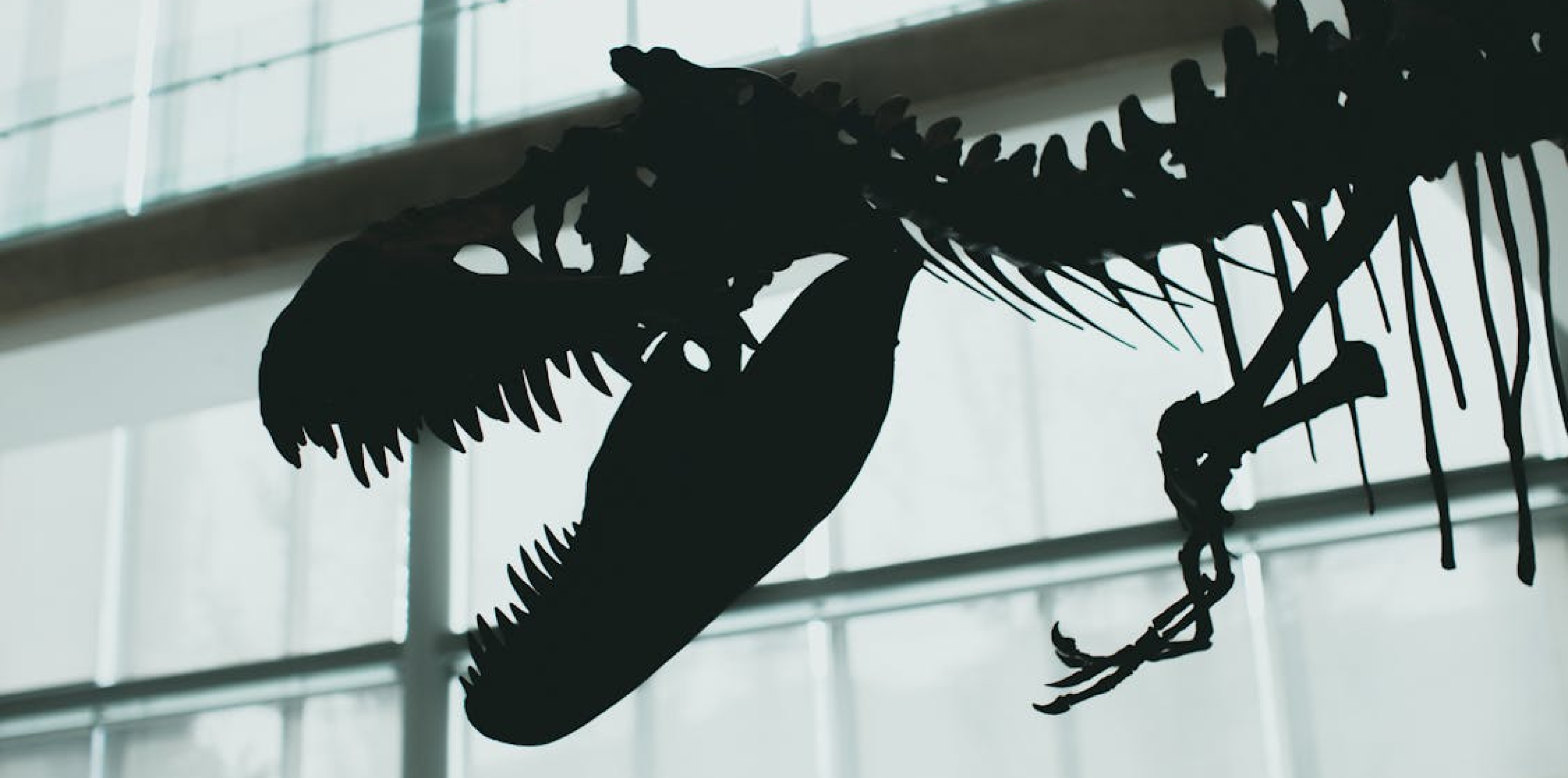 Zoorassic World Keeper Talk