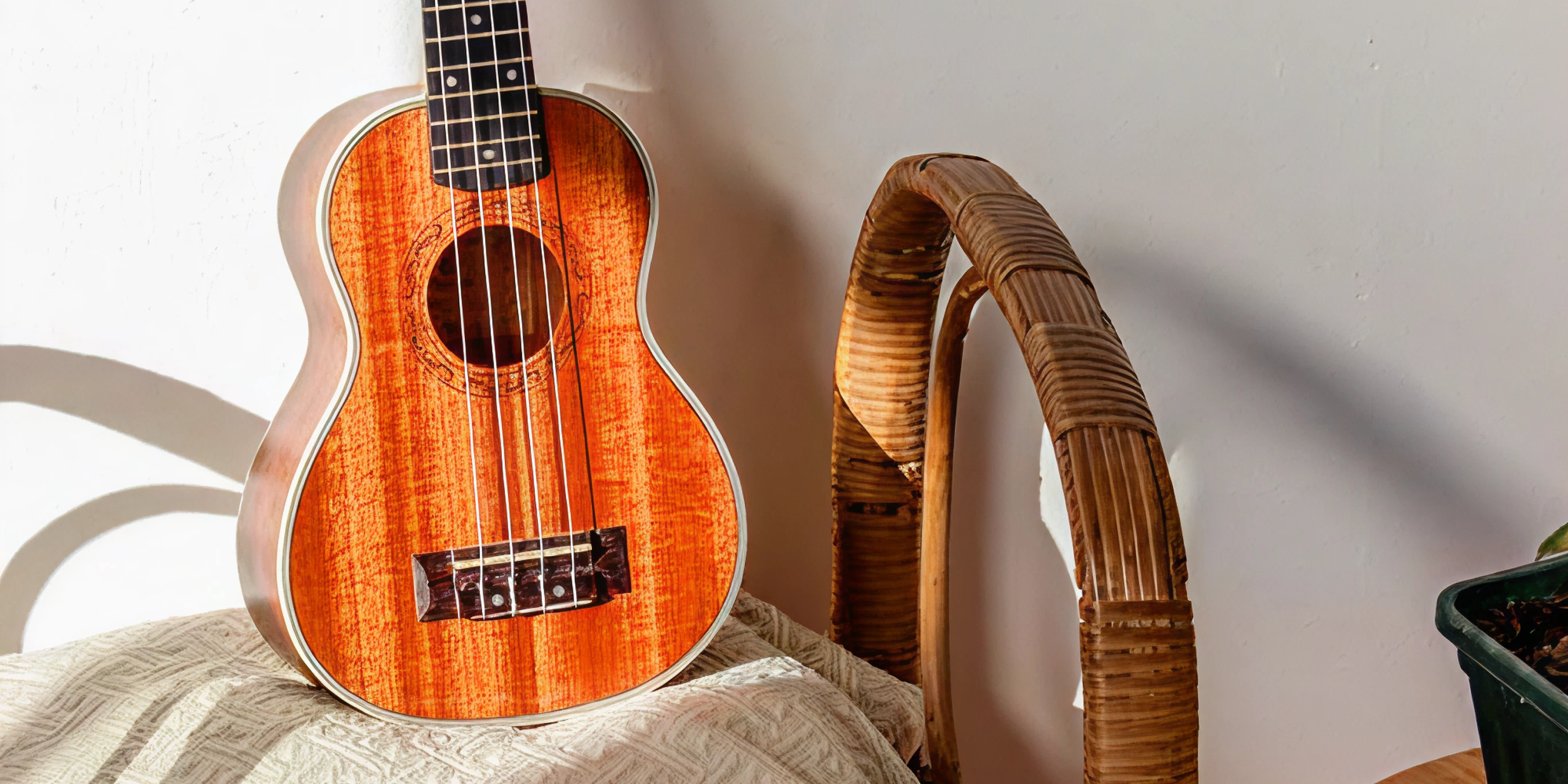 Firhouse Ukulele Group | Concert