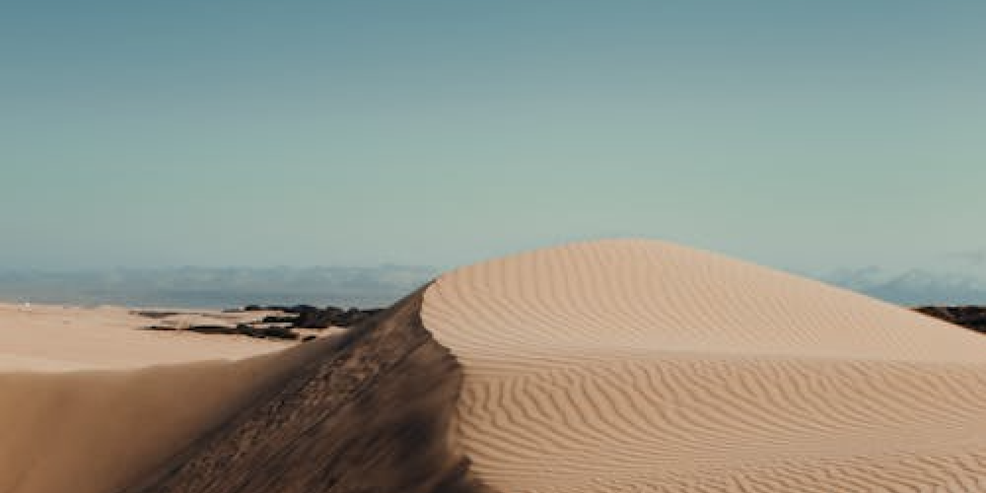Pride: Priscilla, Queen of the Desert | Film Presentation