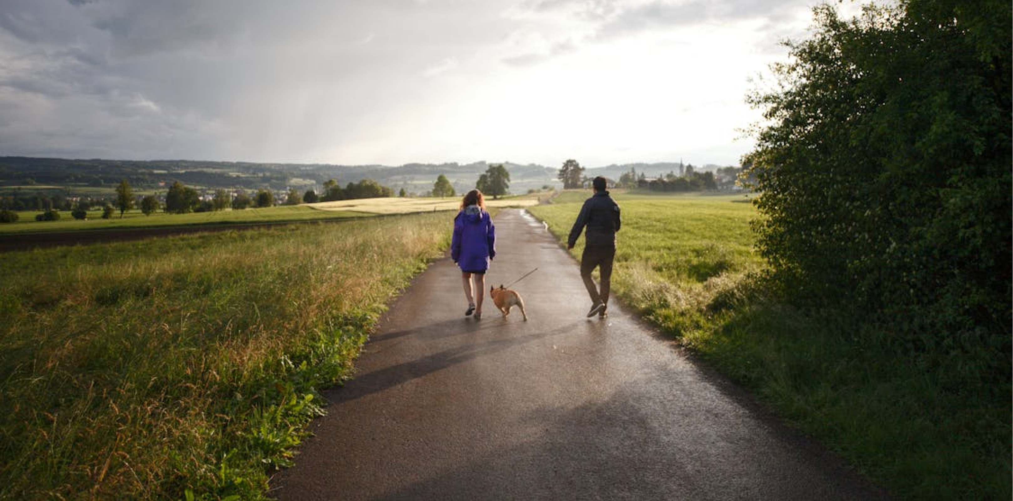 MindTravel Monthly Virtual SilentWalk - May 2026
