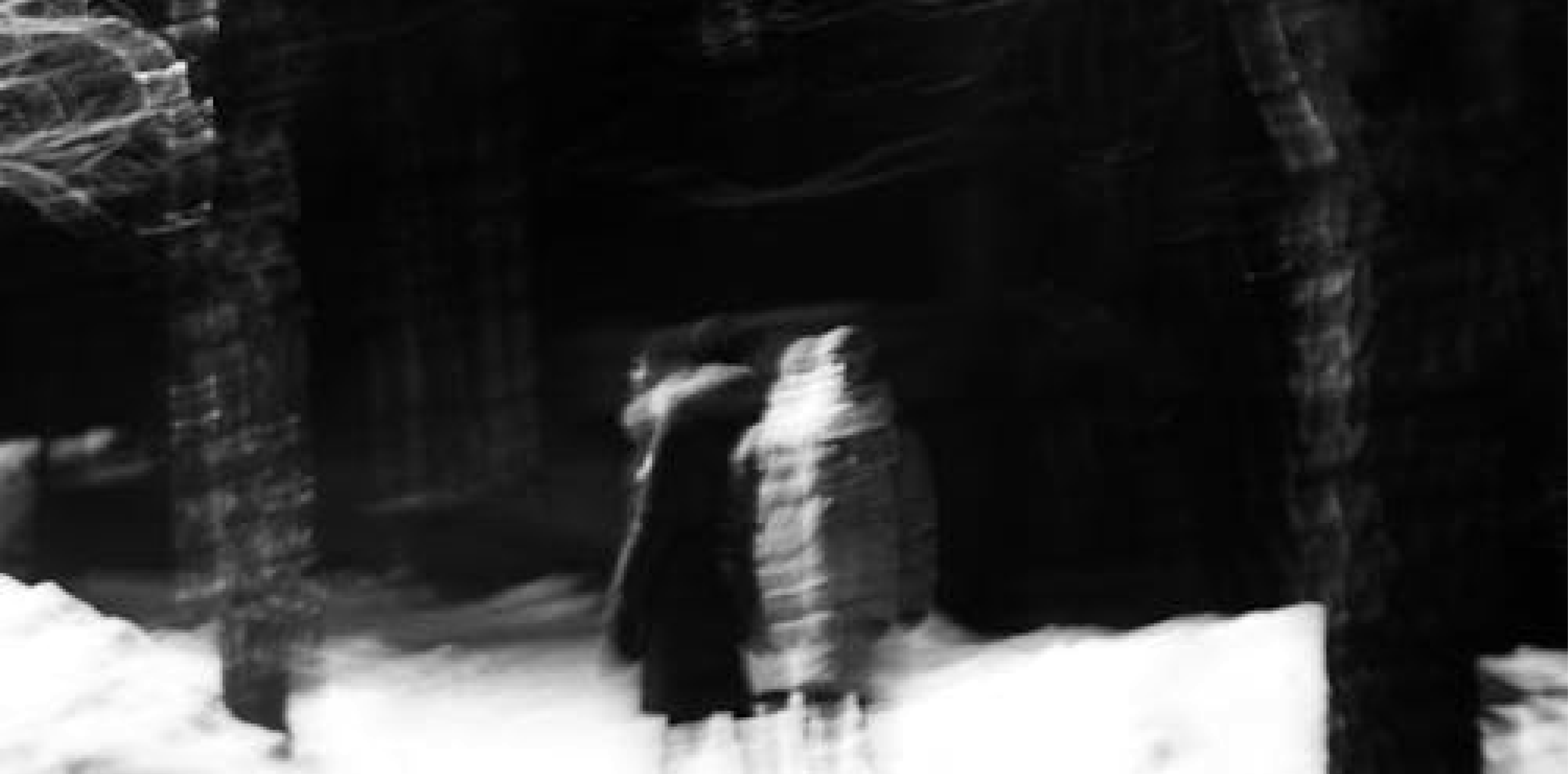 A Place To Bury Strangers