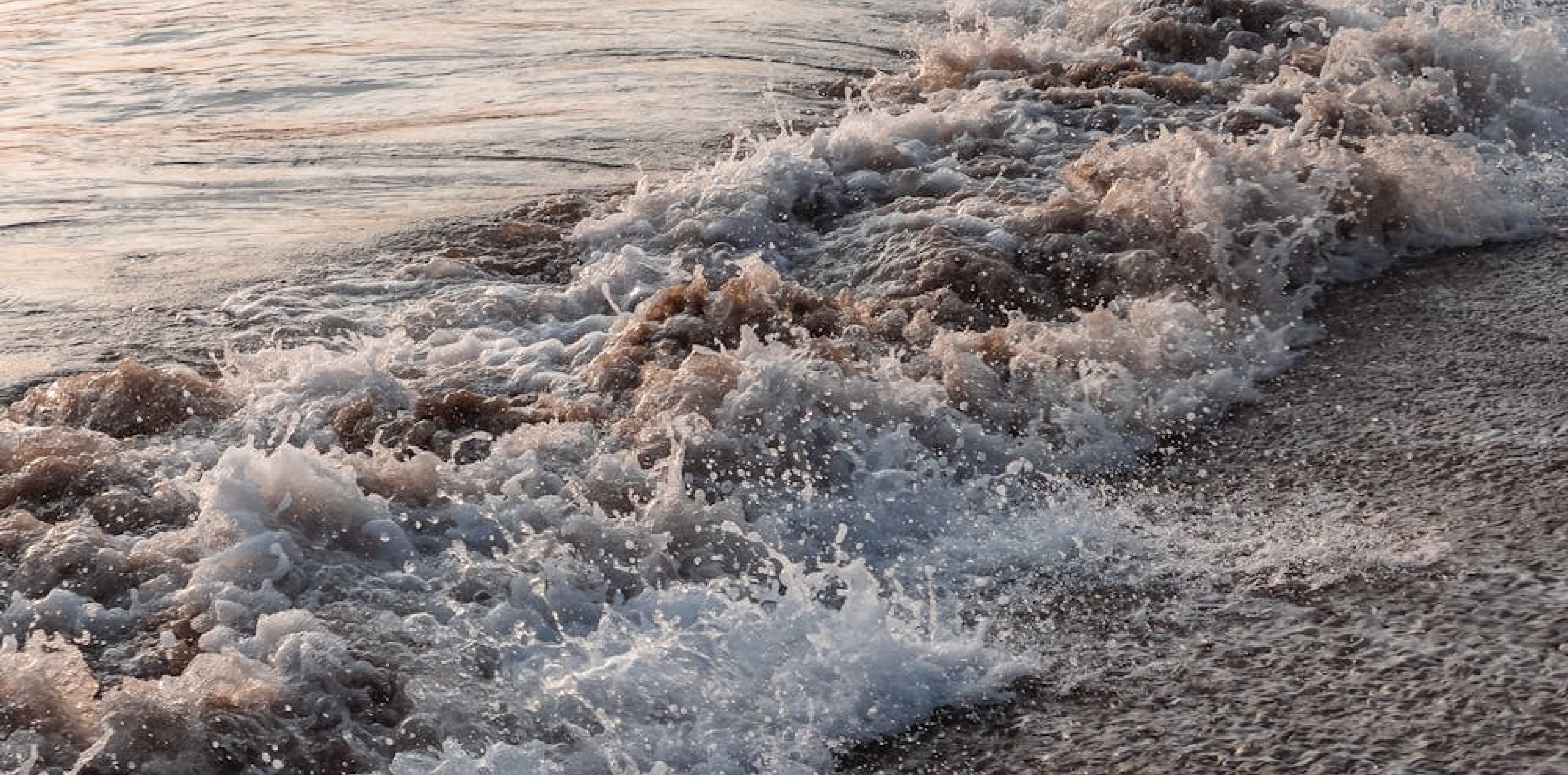 TIDE LINES